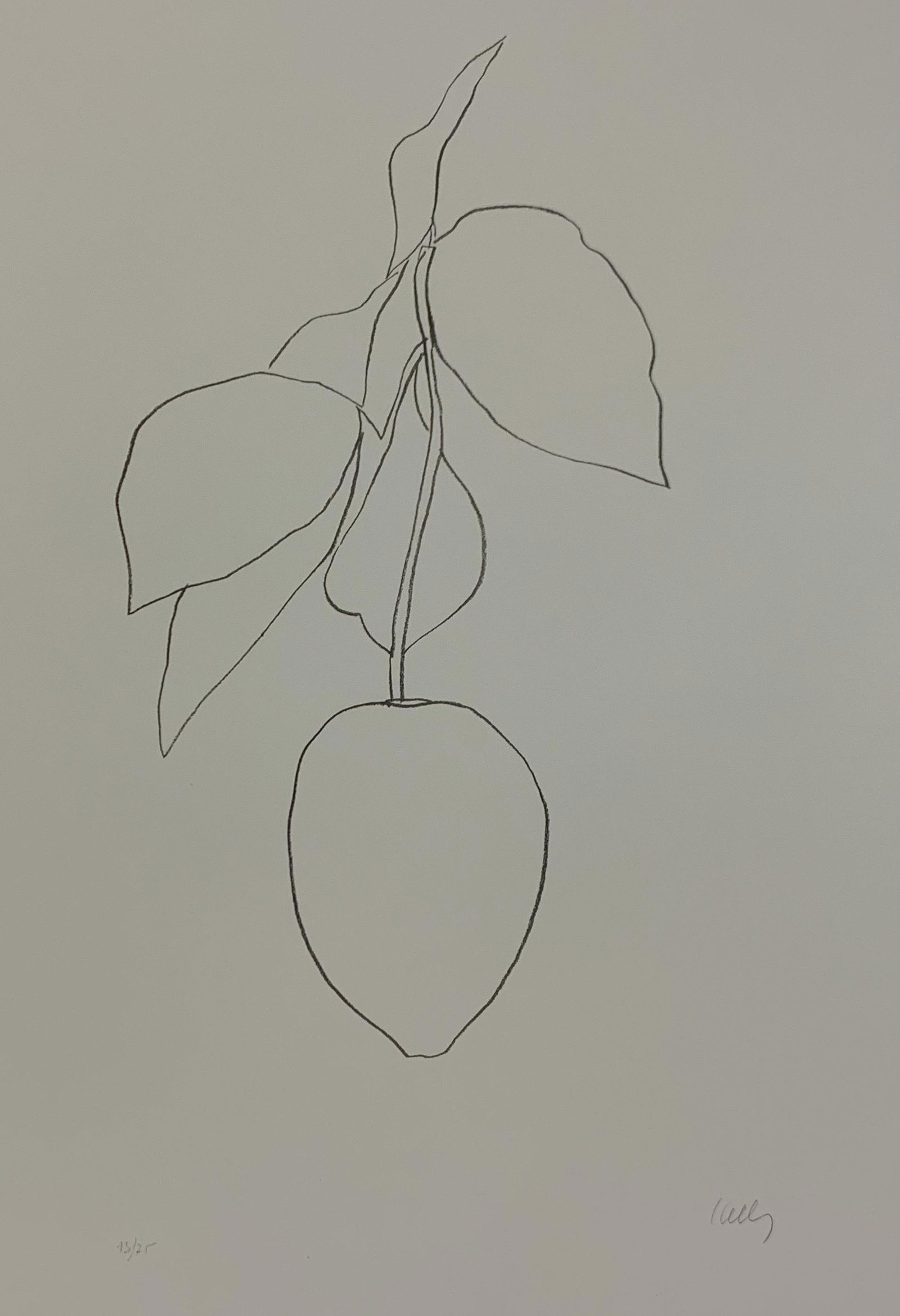Ellsworth Kelly - Lemon, Colored Offset-lithograph (1 of 1)
