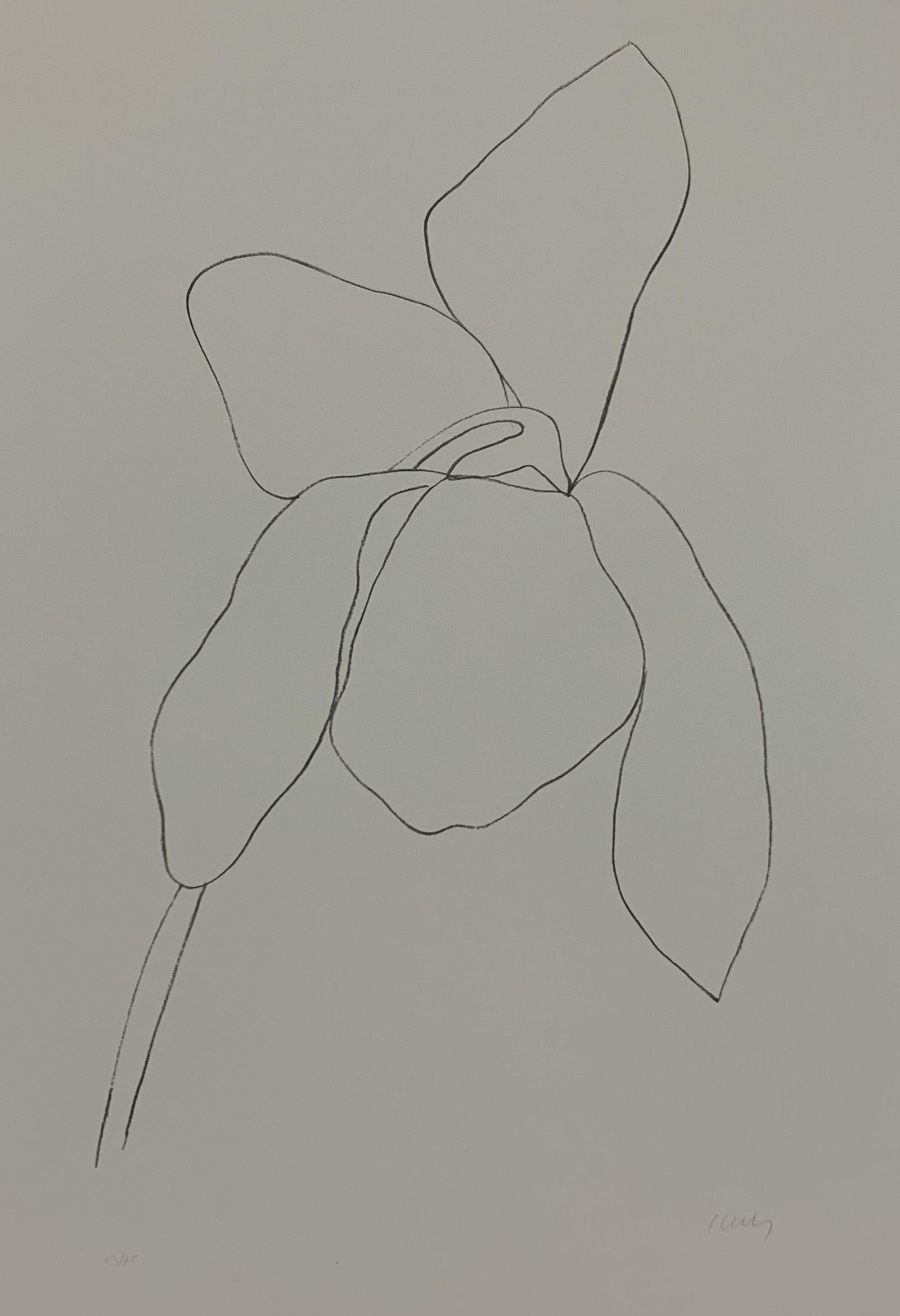 Ellsworth Kelly - Cyclamen, Colored Offset-lithograph (1 of 1)