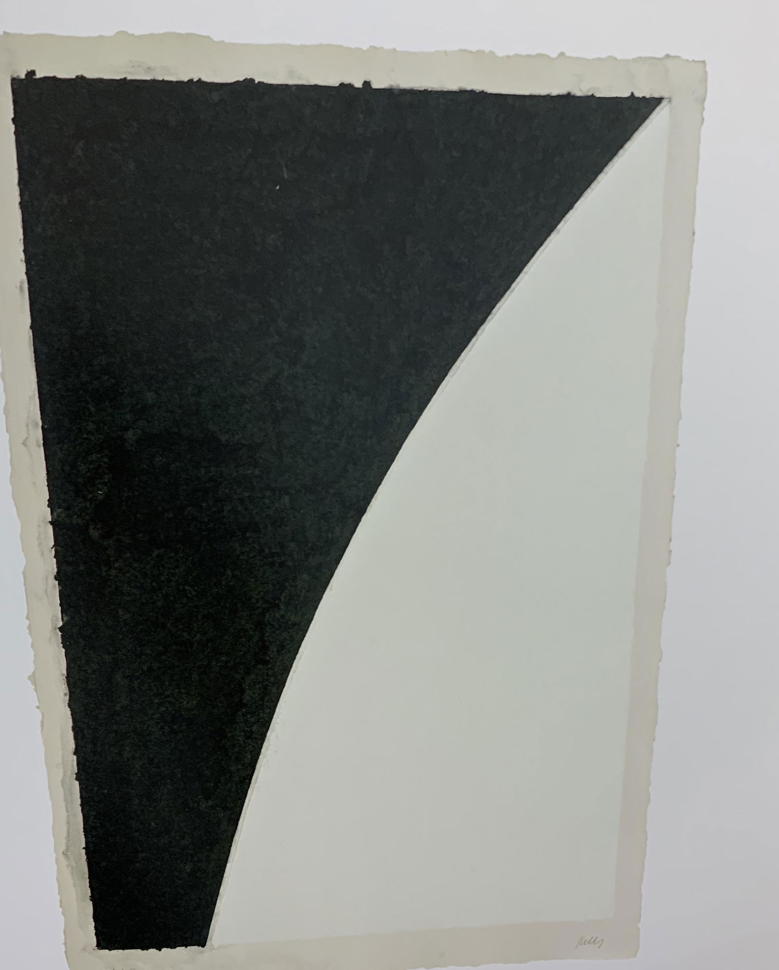 Ellsworth Kelly - Colored Offset-lithograph (1 of 1)