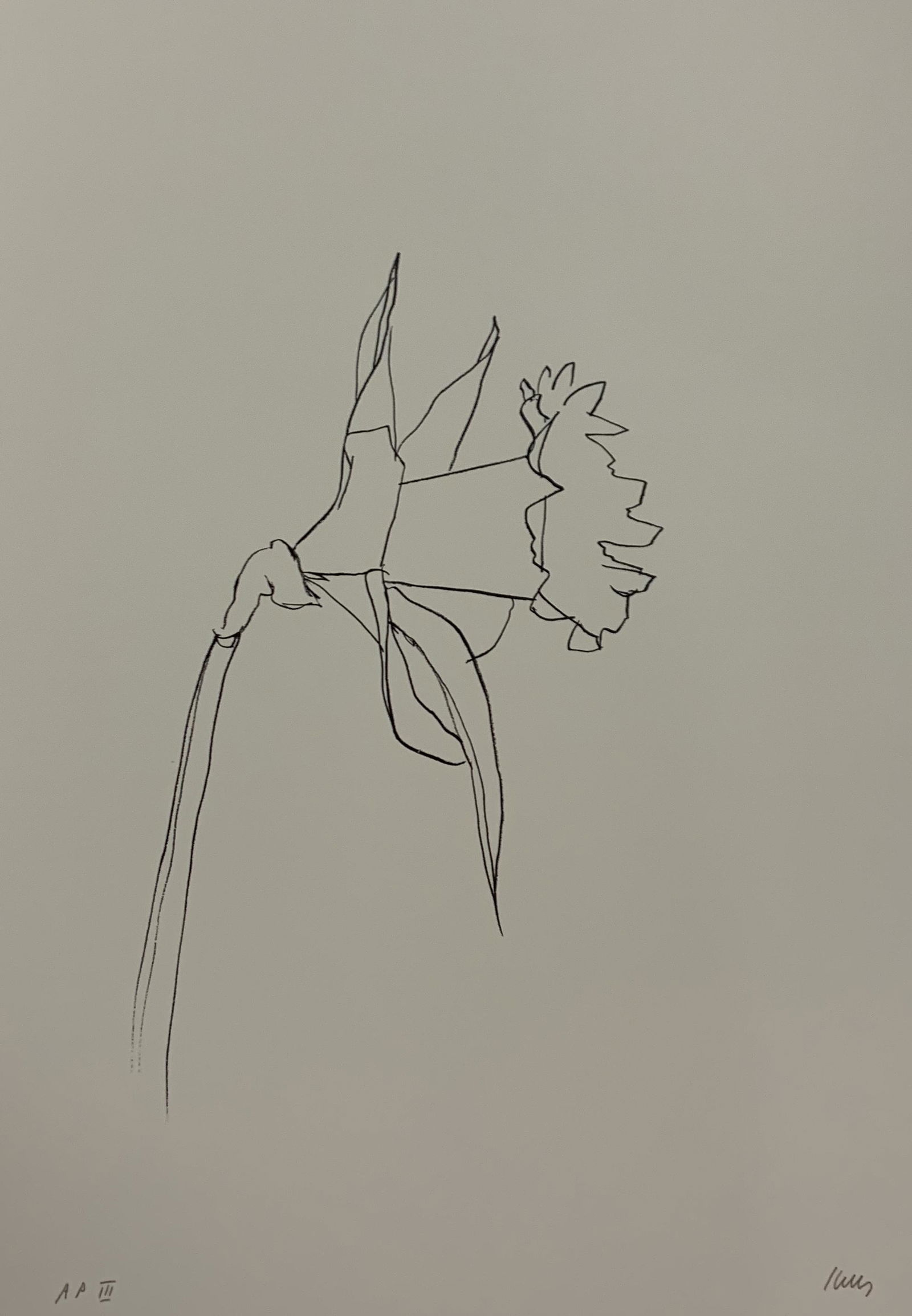 Ellsworth Kelly - Daffodil, Colored Offset-lithograph (1 of 1)