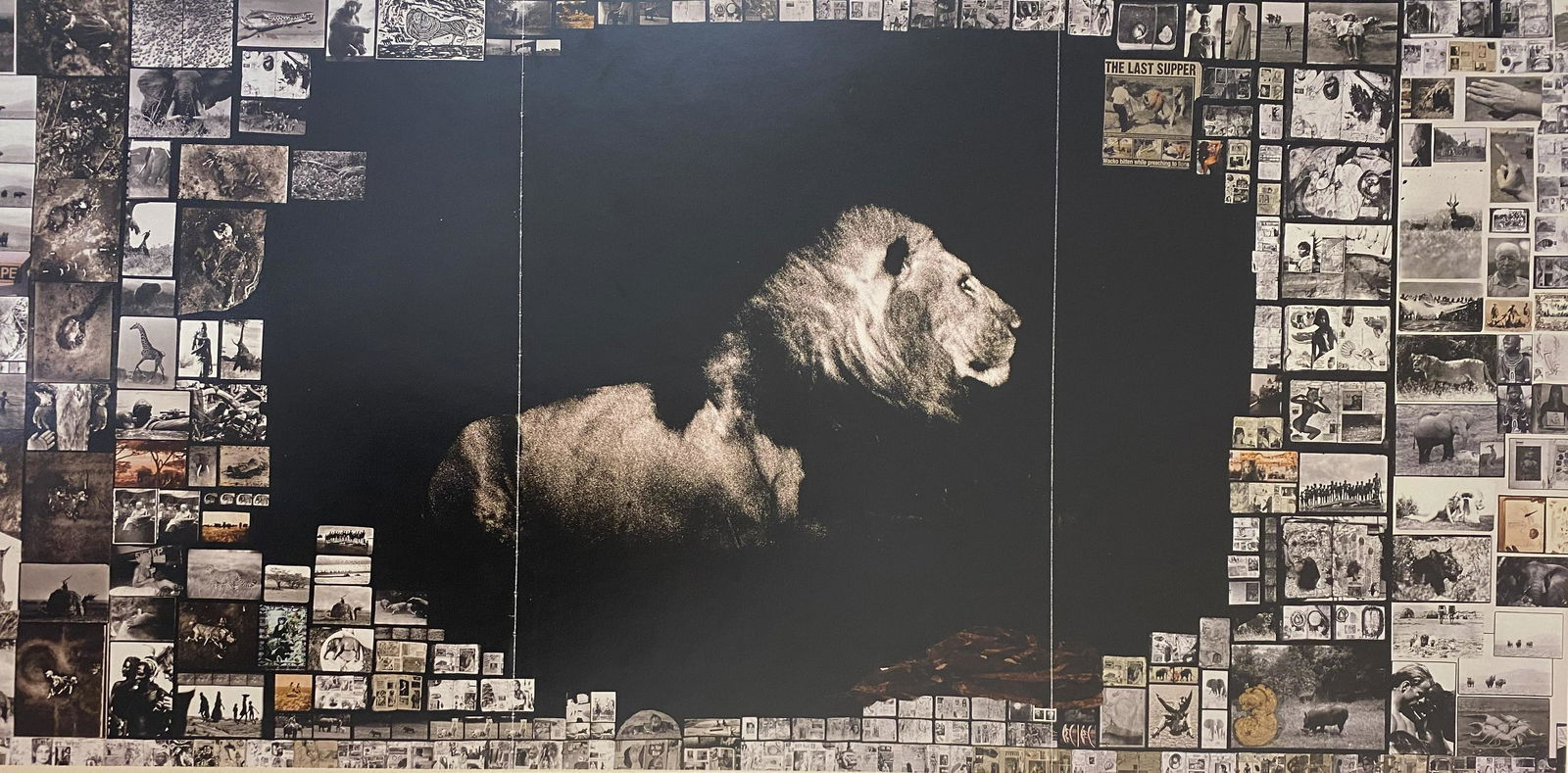 Peter Beard â€œLionâ€ Photo Litho: PETER BEARD (1938-2020) Elephant Photo litho 14 ½” x 30” Printed circa later 20th c.
