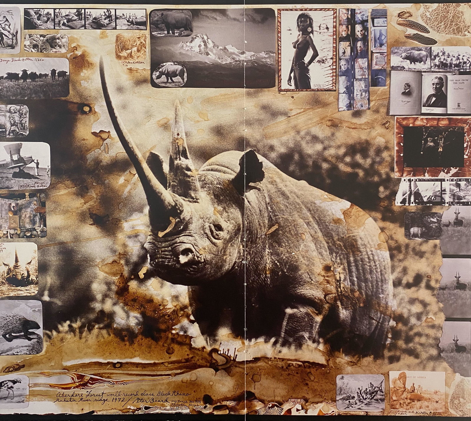 Peter Beard â€œRhinoâ€ Photo Litho: PETER BEARD (1938-2020) Rhino Photo litho 12” x 14” Printed circa later 20th c.
