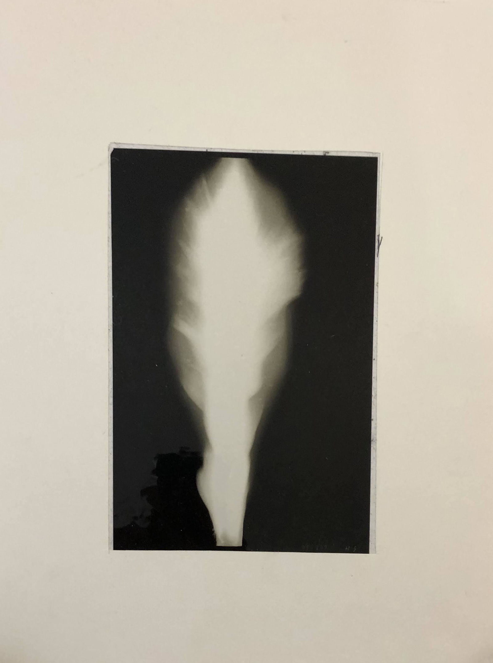 Hiroshi Sugimoto In Praise of Shadow 1998 (Acetate): HIROSHI SUGIMOTO (B. 1948) In Praise of Shadow, 1998 Acetate film mounted to paper from a limited edition 8 1/4" x 5 1/4" image Signed in the image lower right and numbered
