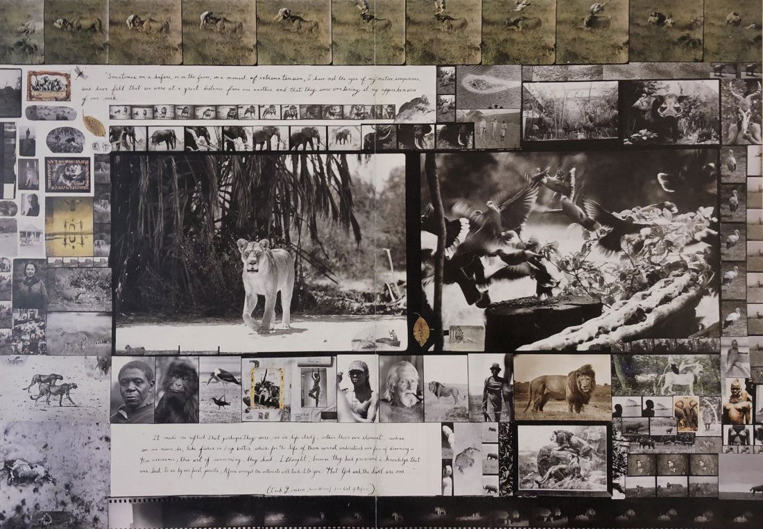 Peter Beard (Untitled, Lion) Photo-Litho: PETER BEARD (1938-2020) Untitled (Lion) Photo litho 11 3/4" x 17" Printed circa later 20th c