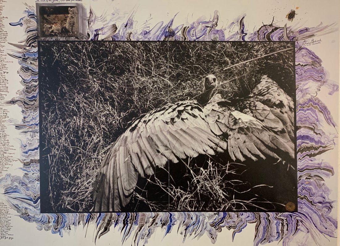 Peter Beard Photo-Litho: PETER BEARD (1938-2020) Photo-litho Printed circa late 20th century