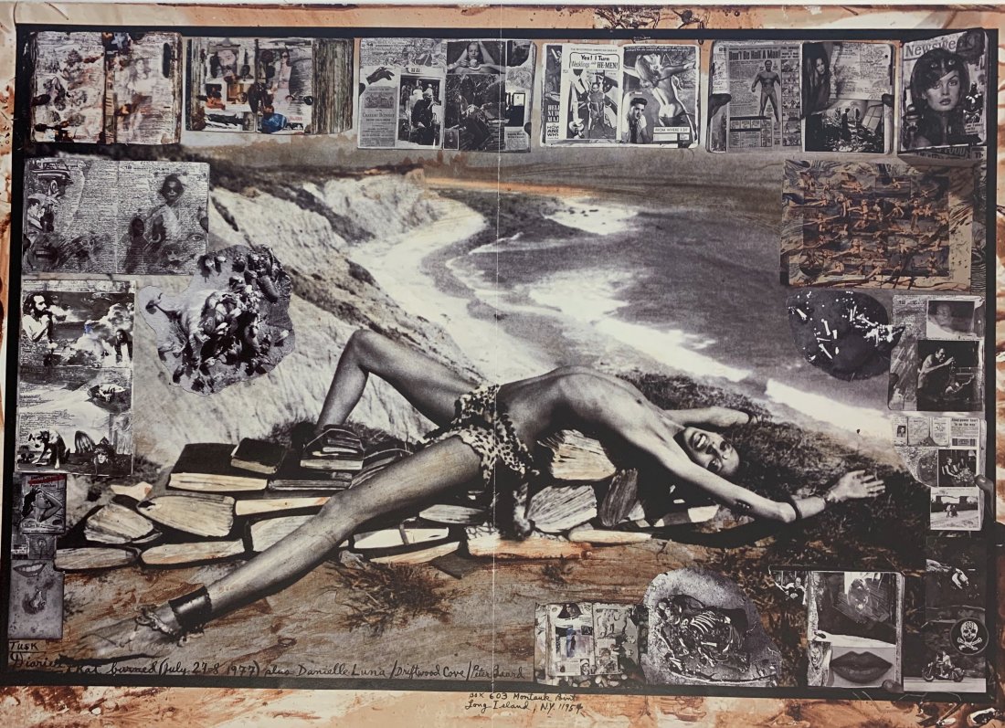 Peter Beard (Driftwood Cove) Photo-Litho: PETER BEARD (1938-2020) Photo-litho Driftwood Cove Printed circa late 20th century 14 1/2" x 20"