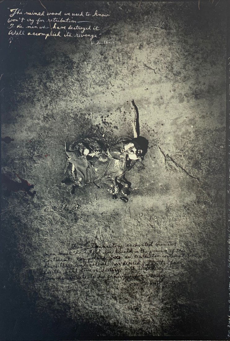 Peter Beard (The End Game) Photo-Litho: PETER BEARD (1938-2020) Photo-litho The End Game 13 1/2" x 9" Printed circa late 20th century