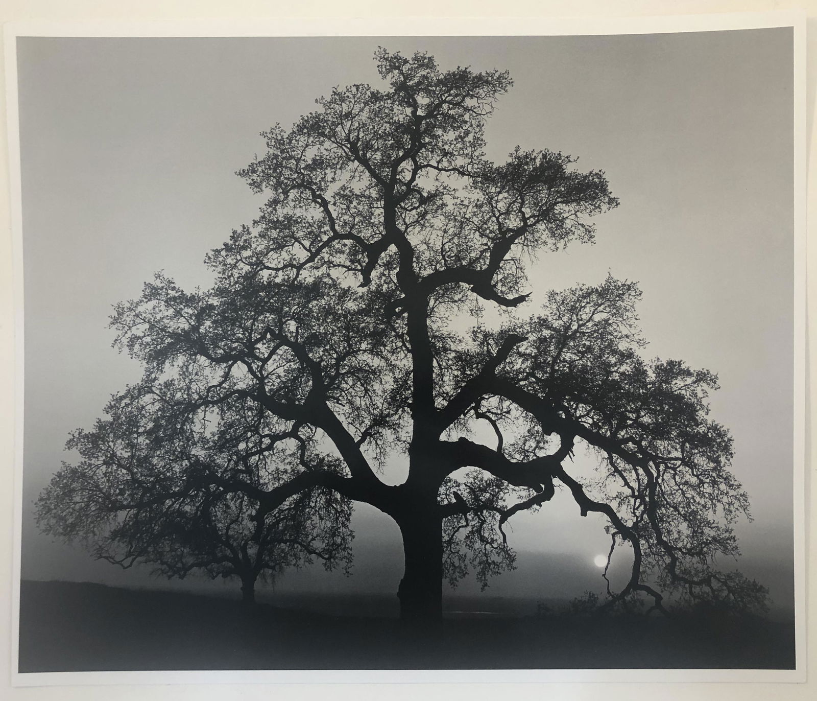 Ansel Adams (Untitled) Photo-Litho (1 of 1)