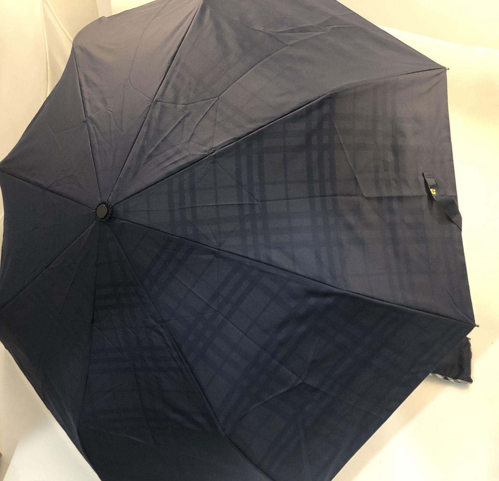 Burberry Umbrella (1 of 2)
