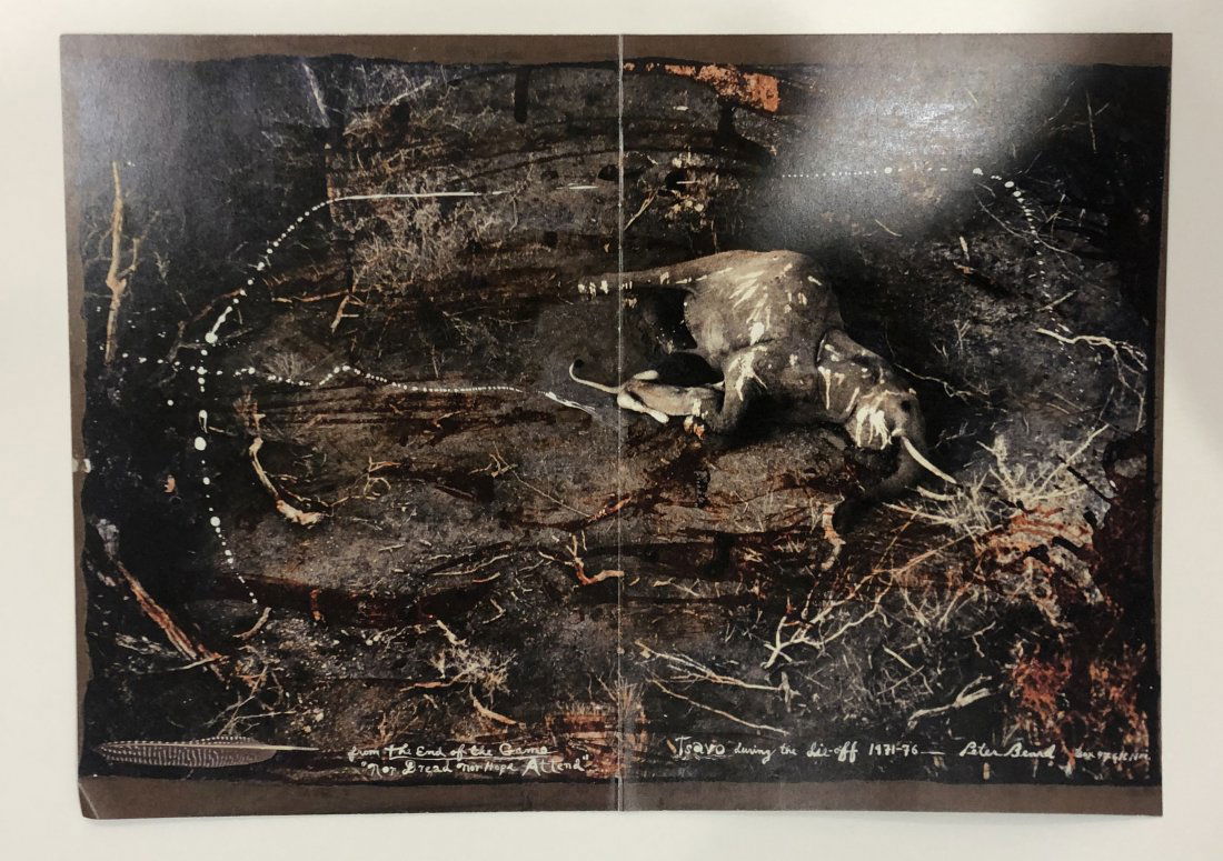 Peter Beard (The End Game) Print in Colors: PETER BEARD (1938-2020) The End Game (Elephant) Print in colors Printed circa later 20th c. 14" x 20"