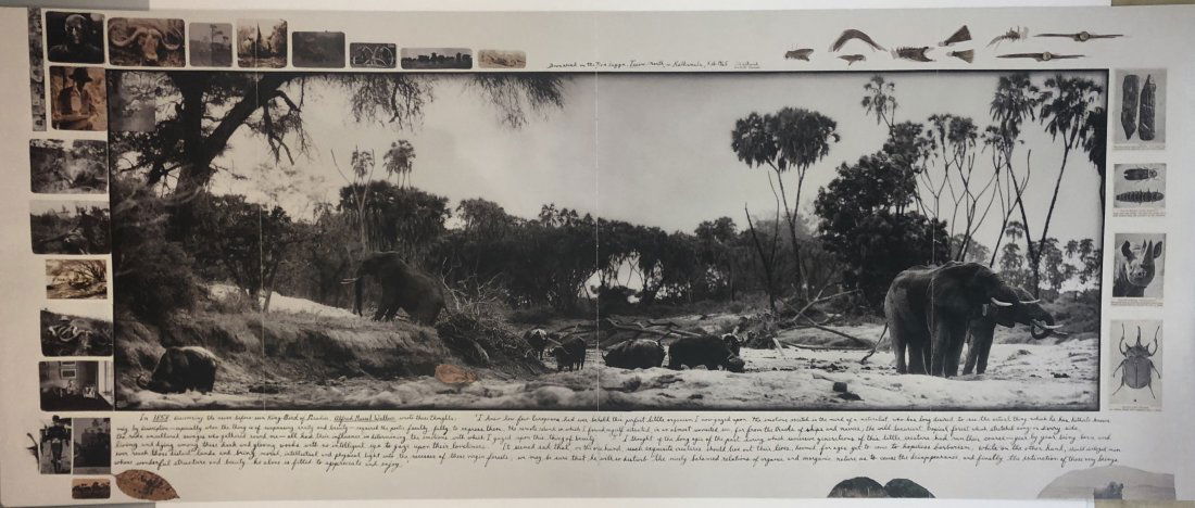 Peter Beard (Kathamala) Print: PETER BEARD (1938-2020) Kathamala Print Printed circa later 20th c. 14 1/2" x 35"