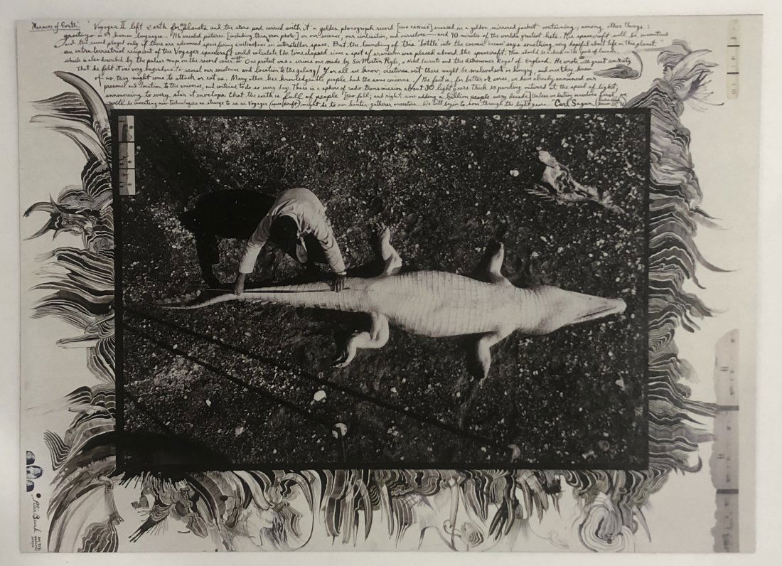 Peter Beard (Untitled) Print on Paper: PETER BEARD (1938-2020) Untitled Print on Paper Printed circa later 20th c. 10" x 13 7/8"