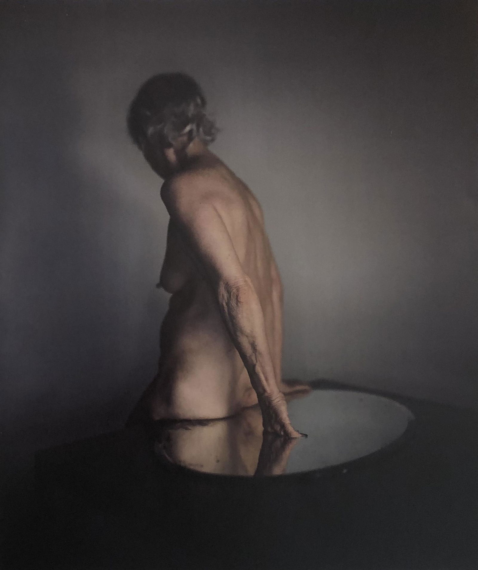 Richard Learoyd (Kitty with mirror, 2012)Print in Color: RICHARD LEAROYD (B. 1966) Kitty with mirror, 2012 10" x 8 1/2 Print in colors