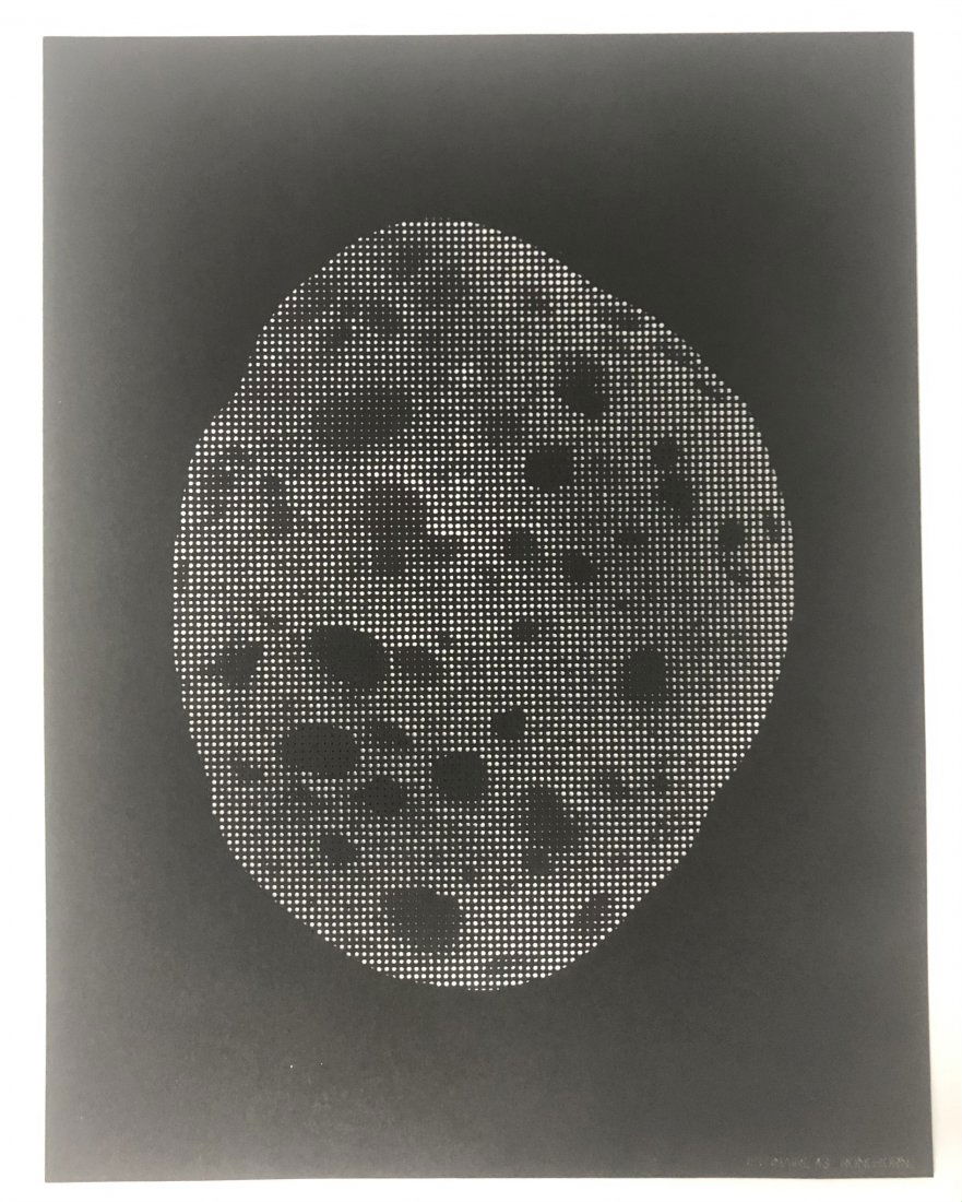 Roni Horn Laser Cut Photograph 1992: RONI HORN (B. 1955) Visionaire 43, 1992 Photograph laser cut on heavy stock paper From a limited edition 11" x 8" Inscribed lower right side "Visionaire 43 - Roni Horn"