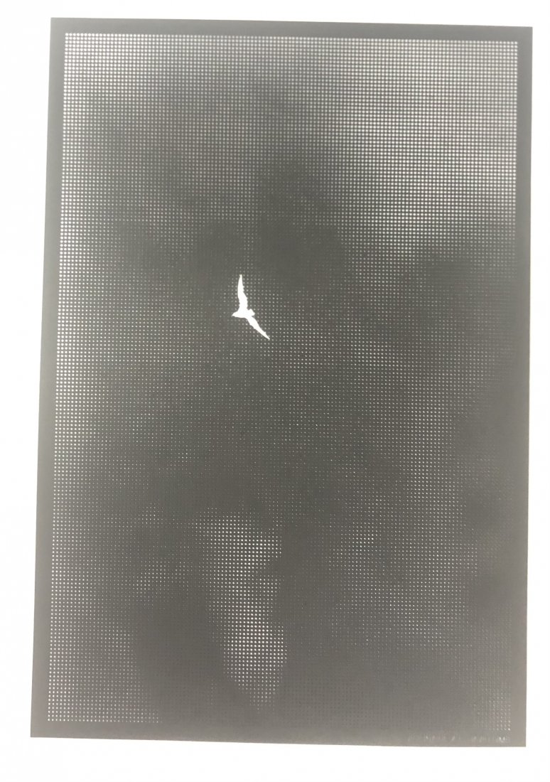 David Sims Laser Cut Photograph 1992: DAVID SIMS (B. 1966) Visionaire 43, 1992 Photograph laser cut on heavy stock paper From a limited edition 11" x 8" Inscribed lower right side "Visionaire 43 - David Sims"