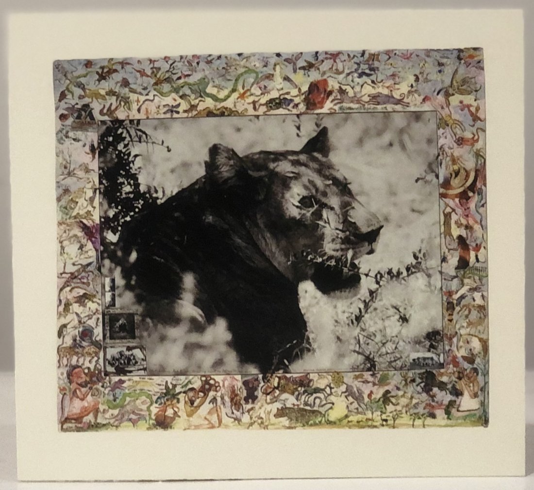 Peter Beard (Tiger) Print: PETER BEARD (1938-2020) Tiger Print Printed circa late 20th c. 7 3/4" x 7"