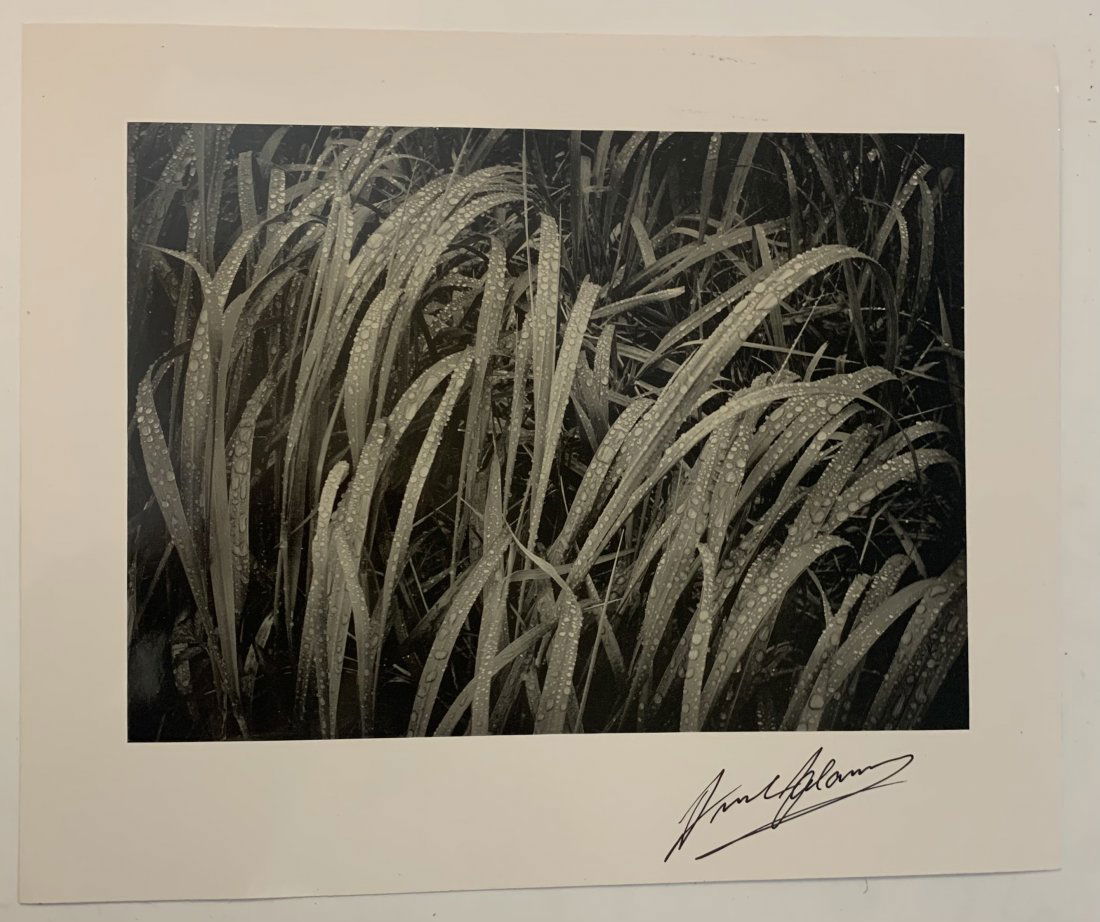 Ansel Adams Glossy Print (1 of 3)