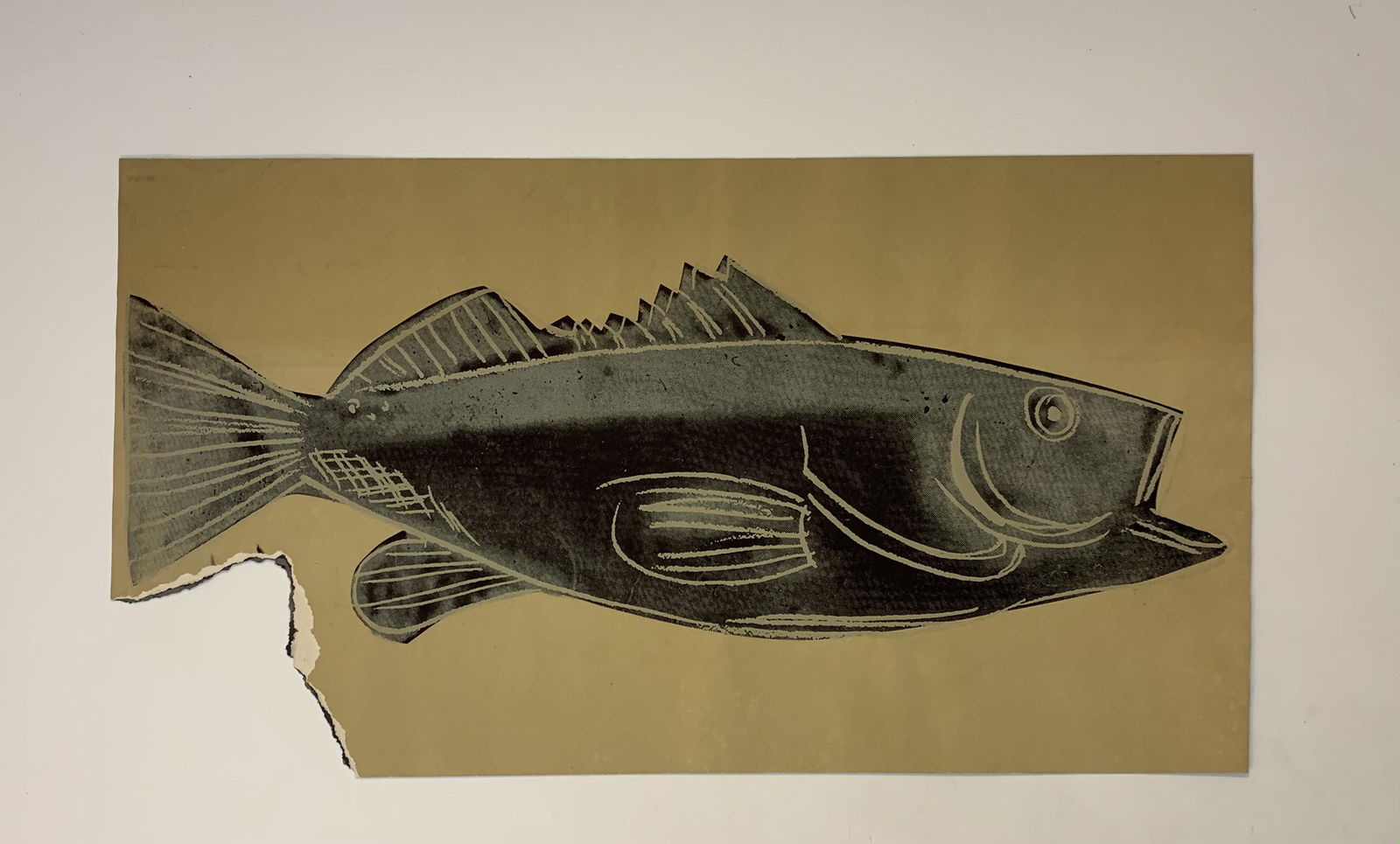 Andy Warhol, Fish Print in Colors (1 of 1)