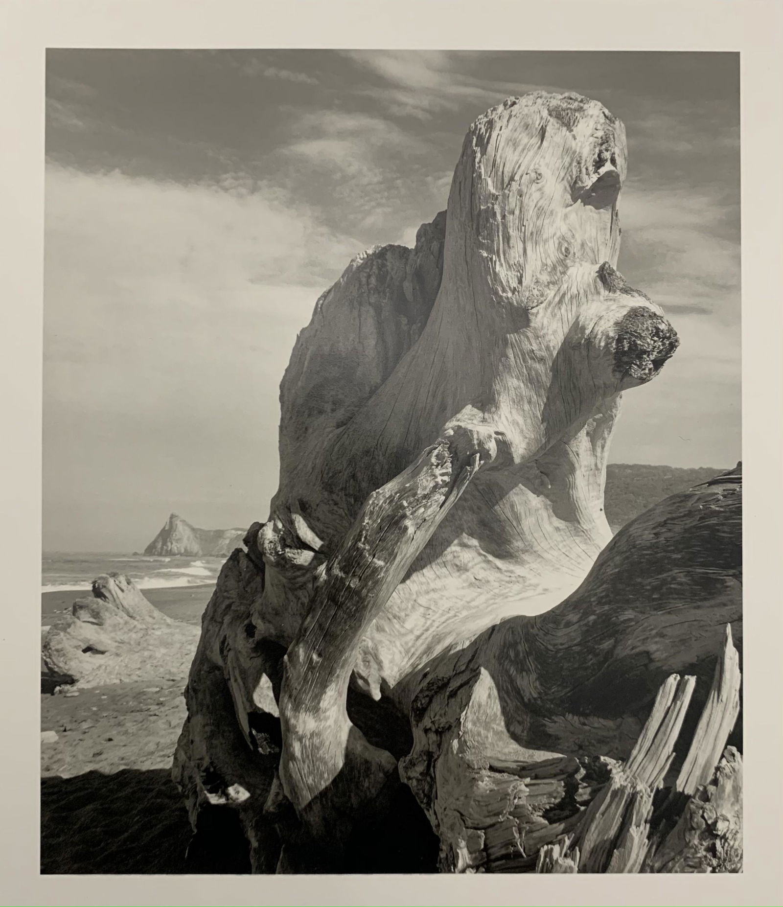 Ansel Adams Glossy Print (1 of 2)