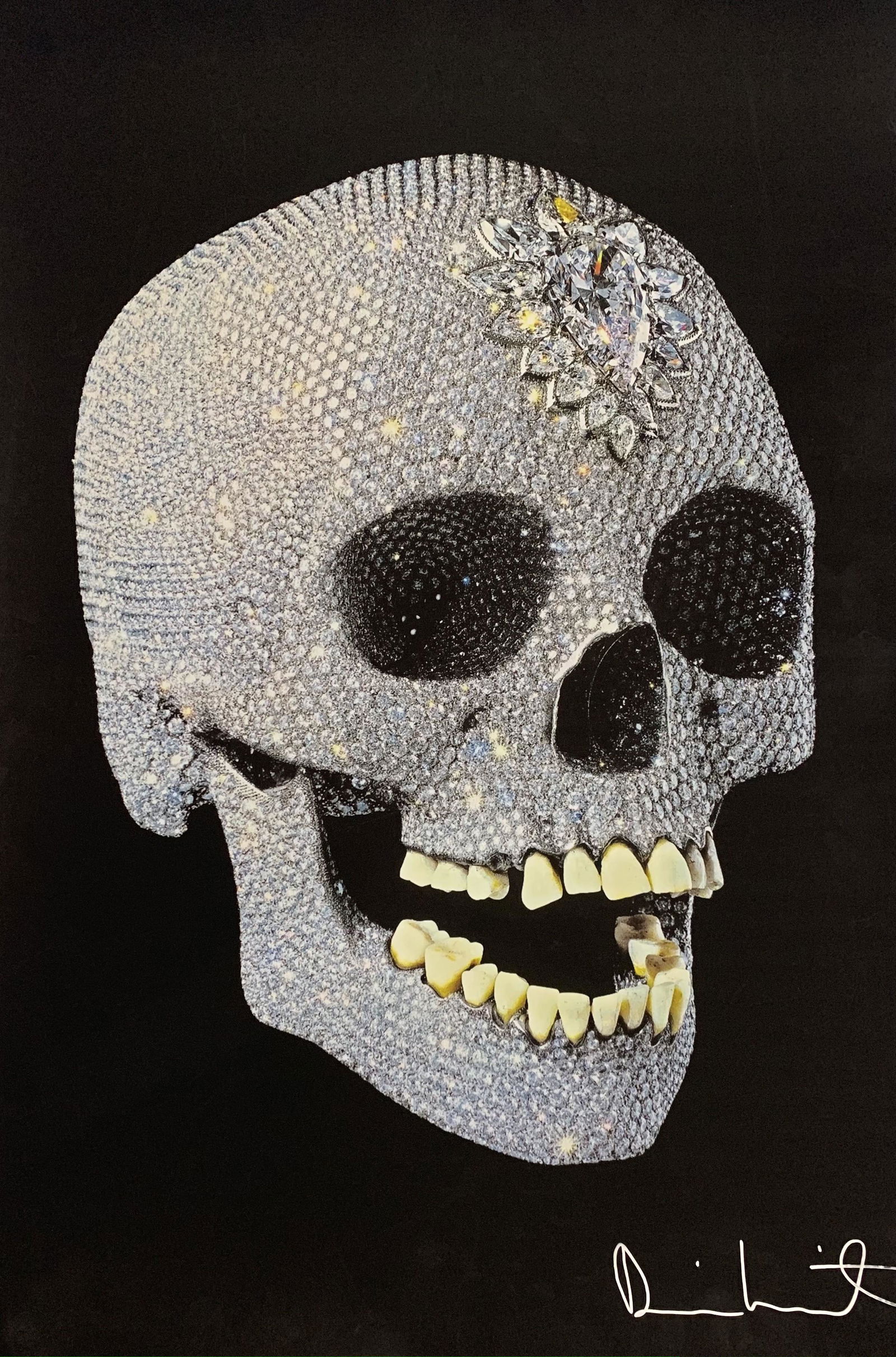 Damien Hirst Colored Print (1 of 3)