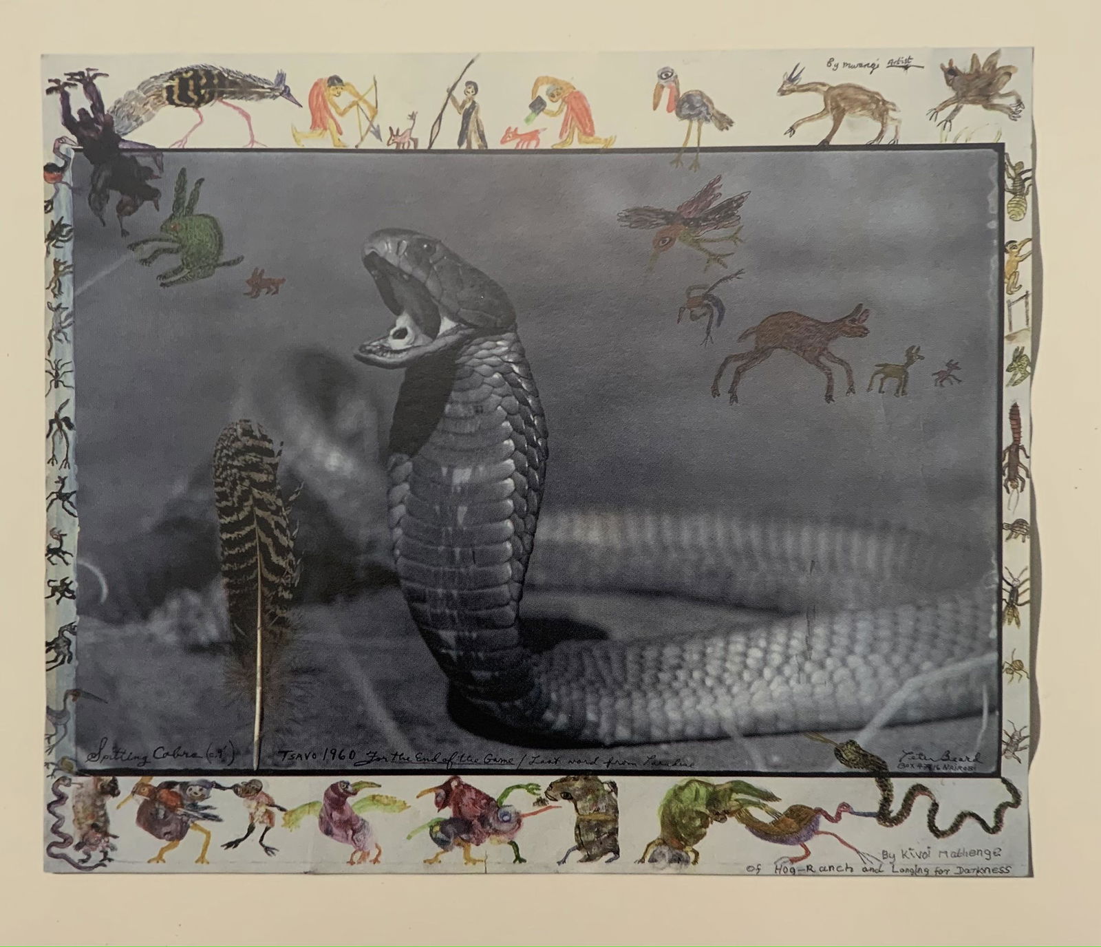 Peter Beard Print: Peter Beard Print. Measures 6.5 x 7.5 inches. Mounted to same size cardstock.