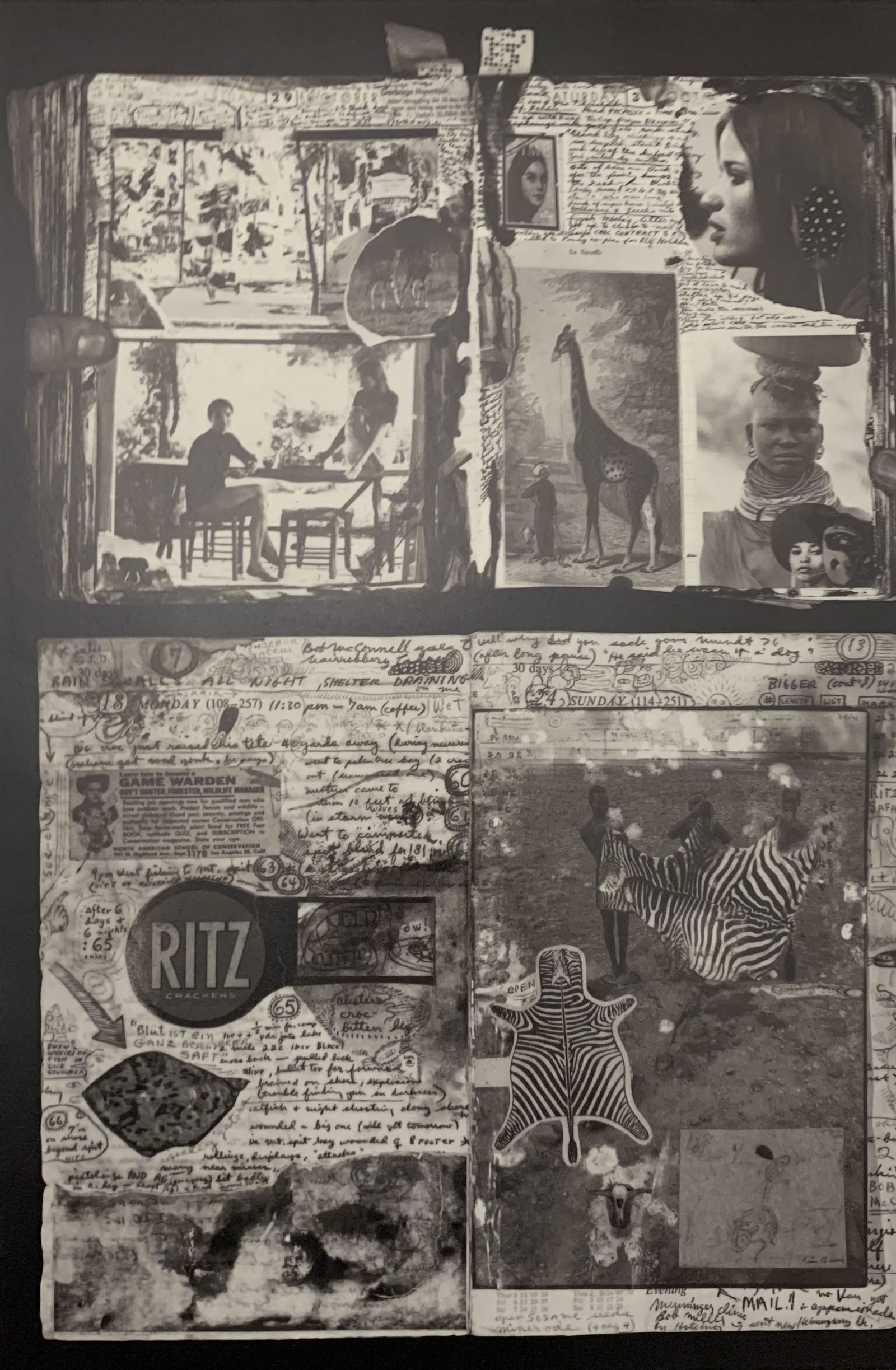 Peter Beard Print: Peter Beard Print. Measures 10 x 14.75 inches.
