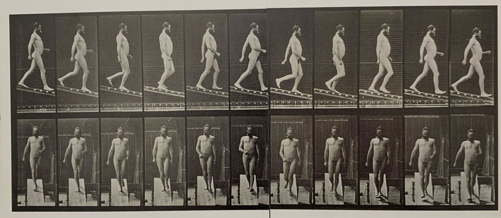 Eadweard Muybridge Male Nude Black and White Print: Eadweard Muybridge Male Nude Black and White Print Measures 10 x 4.5 inches