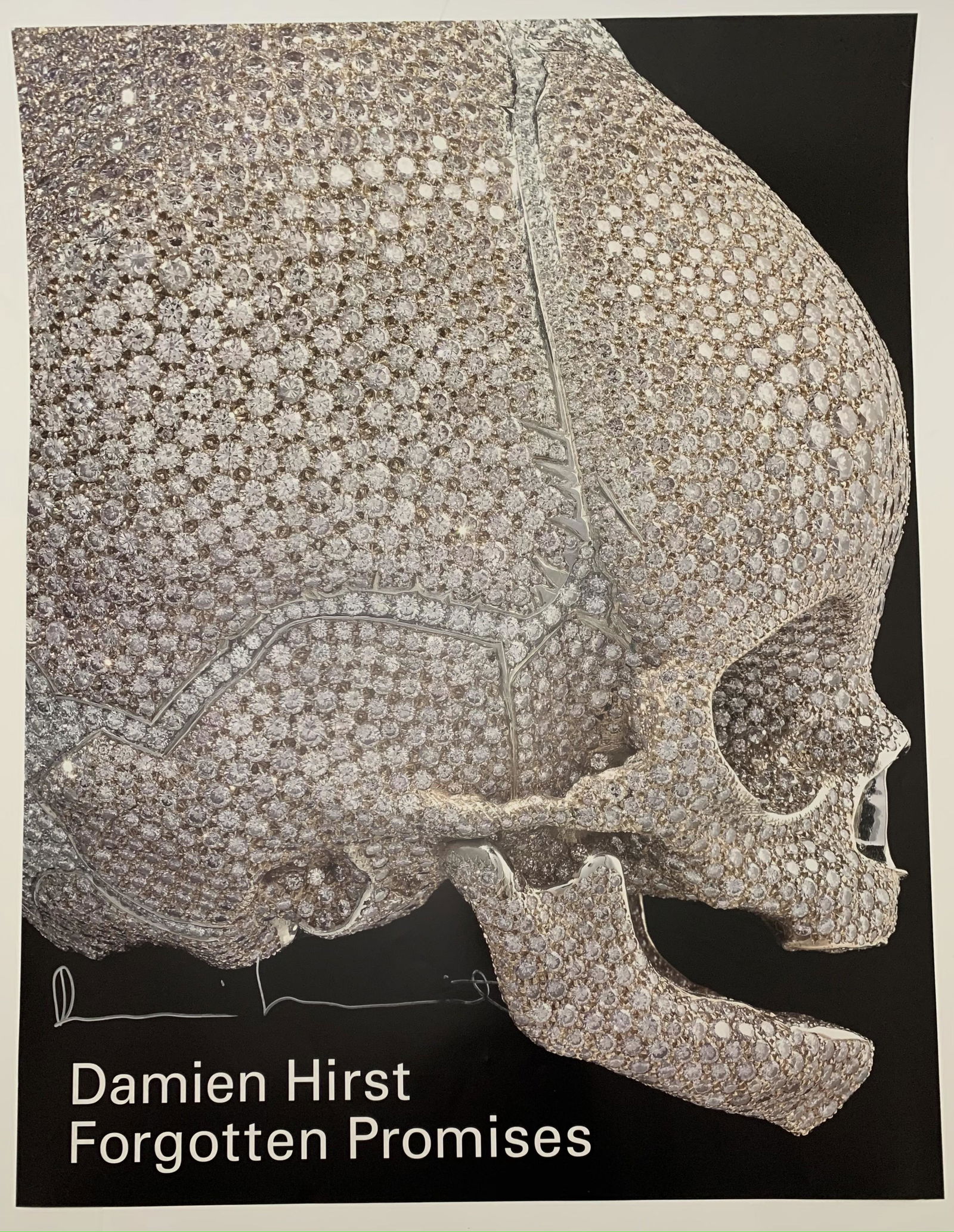 Damien Hirst Print on Paper Hand Signed in ink (1 of 4)