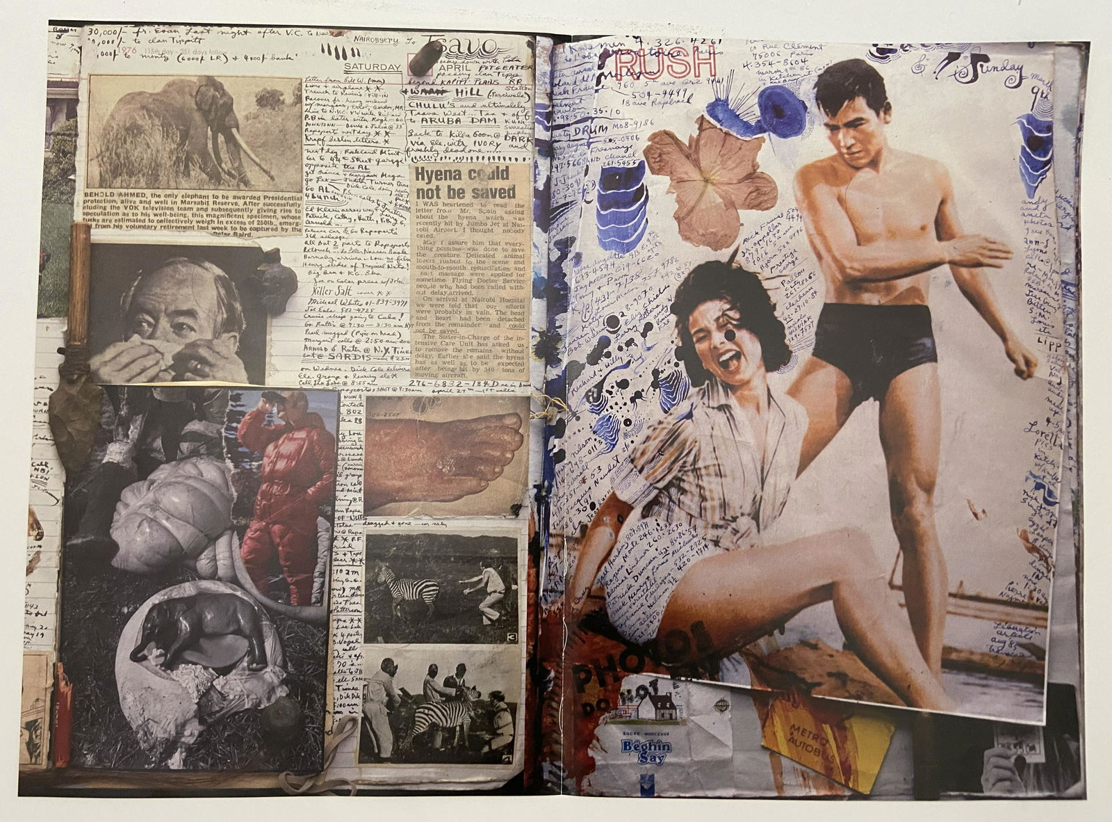 Peter Beard Print: Peter Beard Print Measures 20 x 15 inches