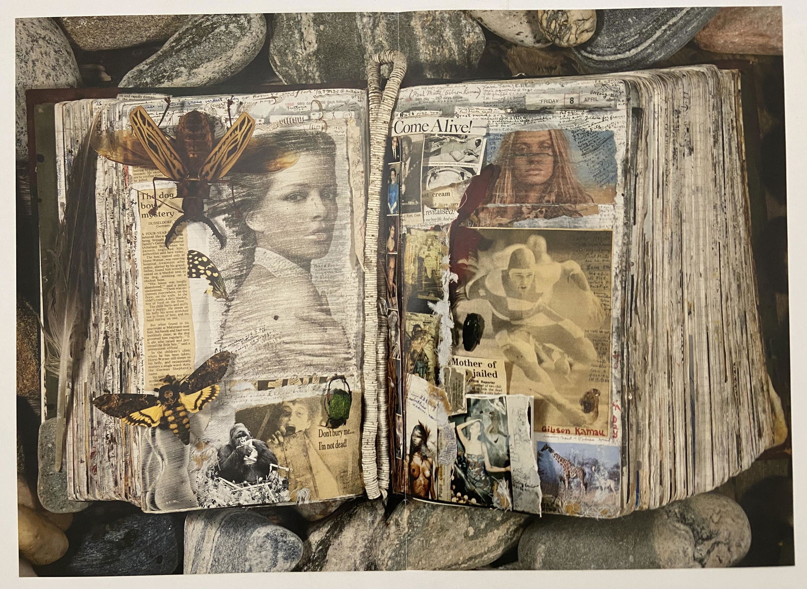 Peter Beard Print (1 of 2)