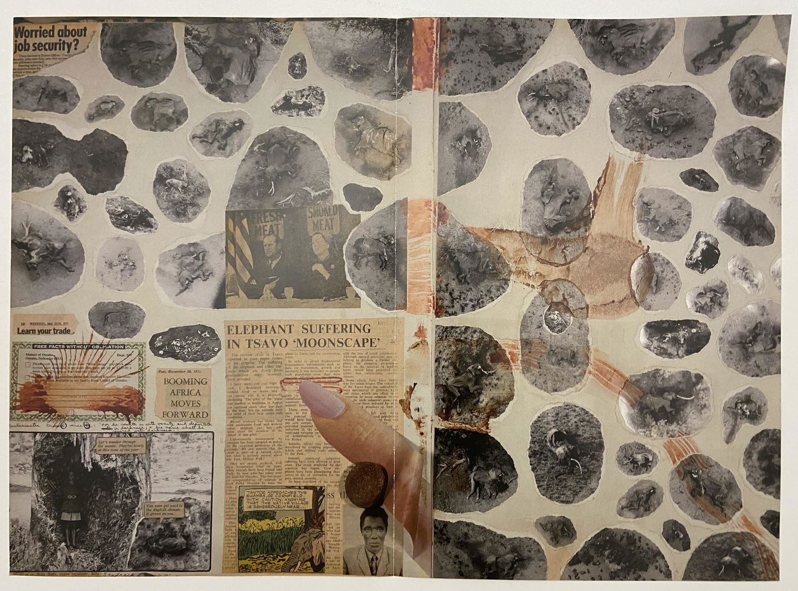 Peter Beard Print: Peter Beard Print Measures 20 x 15 inches