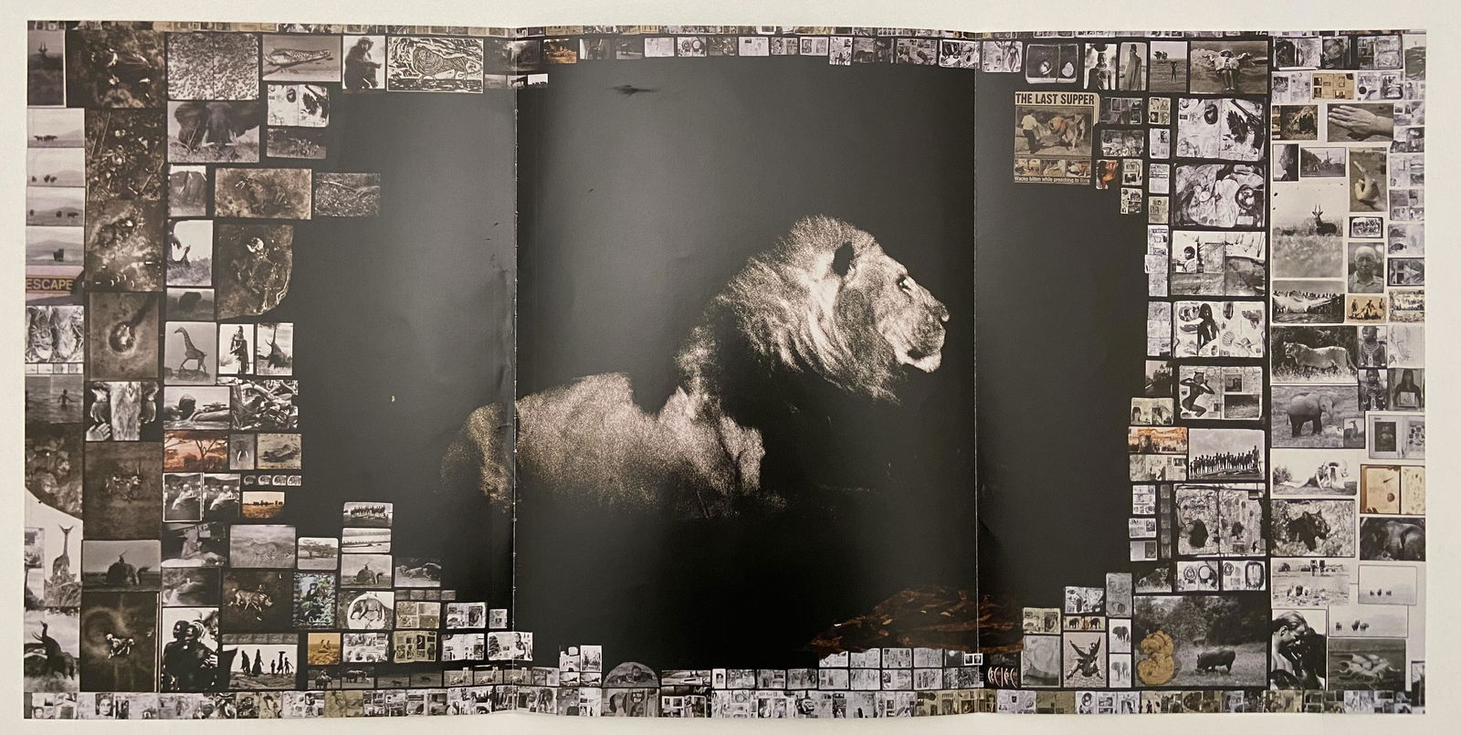 Peter Beard Print: Peter Beard Print Measures 25 x 12 inches