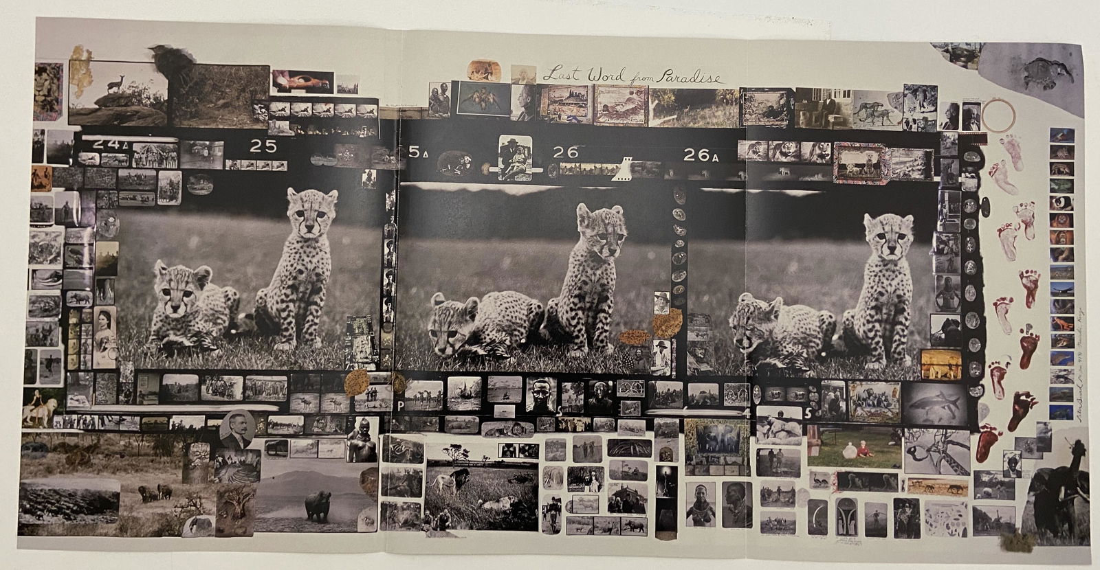 Peter Beard Colored Print: Peter Beard Colored Print. Measures 29.5 x 14.5 inches.