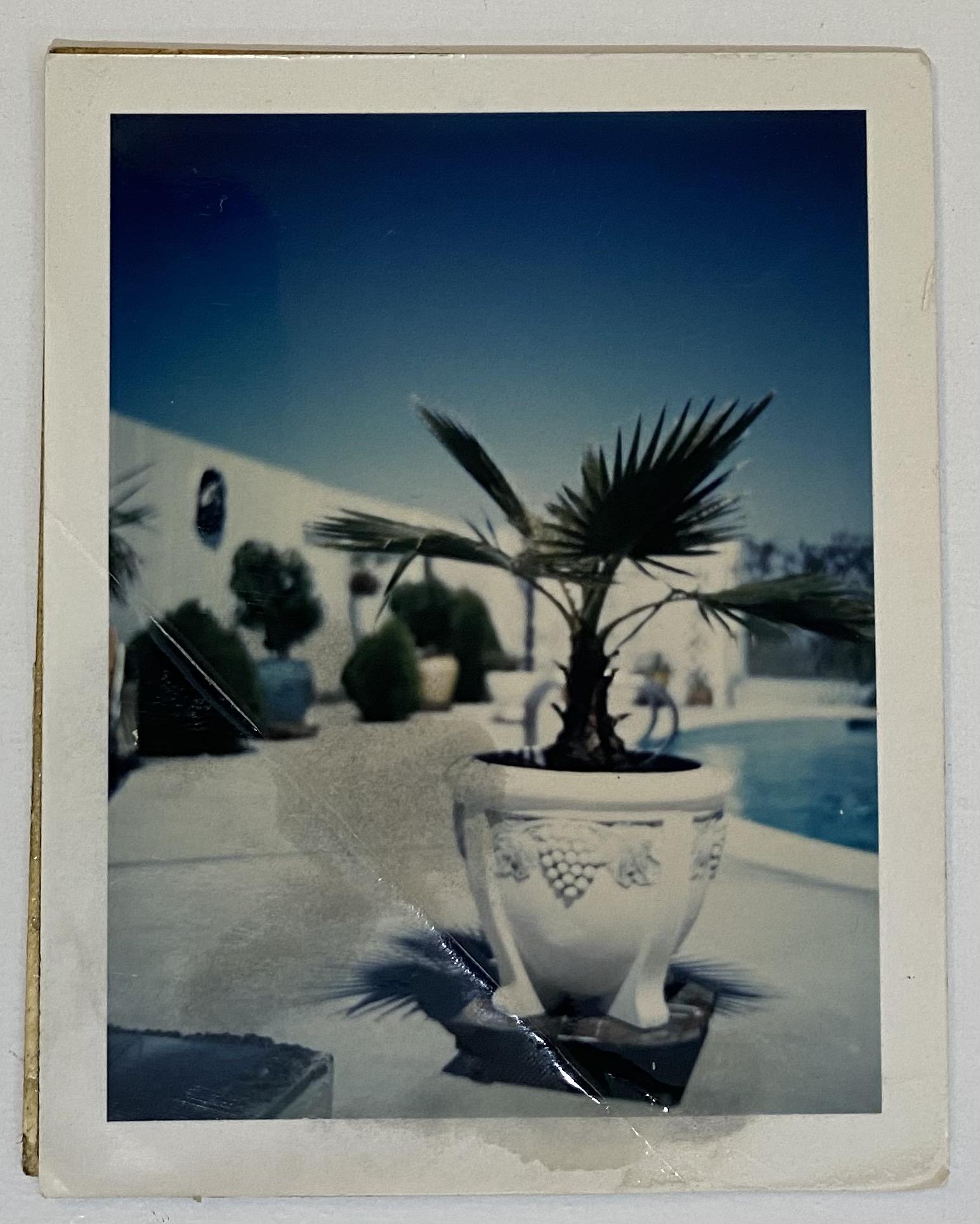 David Hockney (California Pool) Signed Polaroid 1971: DAVID HOCKNEY (B. 1937) California Pool, 1971 Photograph in colors 4 1/4" x 3 3/8" Signed to backside