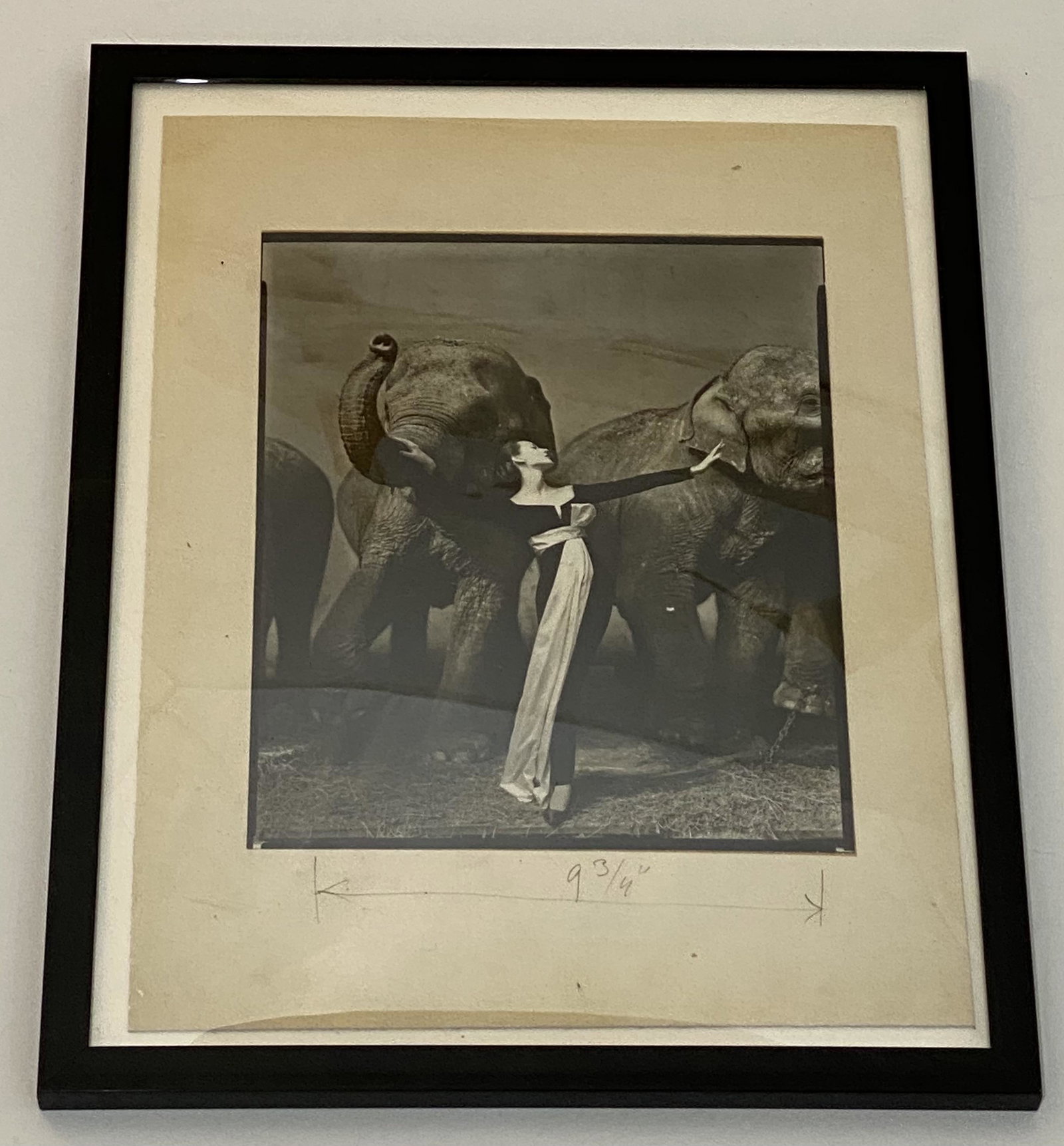 Richard Avedon - Dovima with Elephants, Paris 1955: RICHARD AVEDON (1923-2004) Dovima with Elephants, Paris 1955 Quadratone print from a limited edition Printed circa later 20th c. 14 3/4" x 11" sheet; image: 10" x 8" ; frame: 17" x 13"
