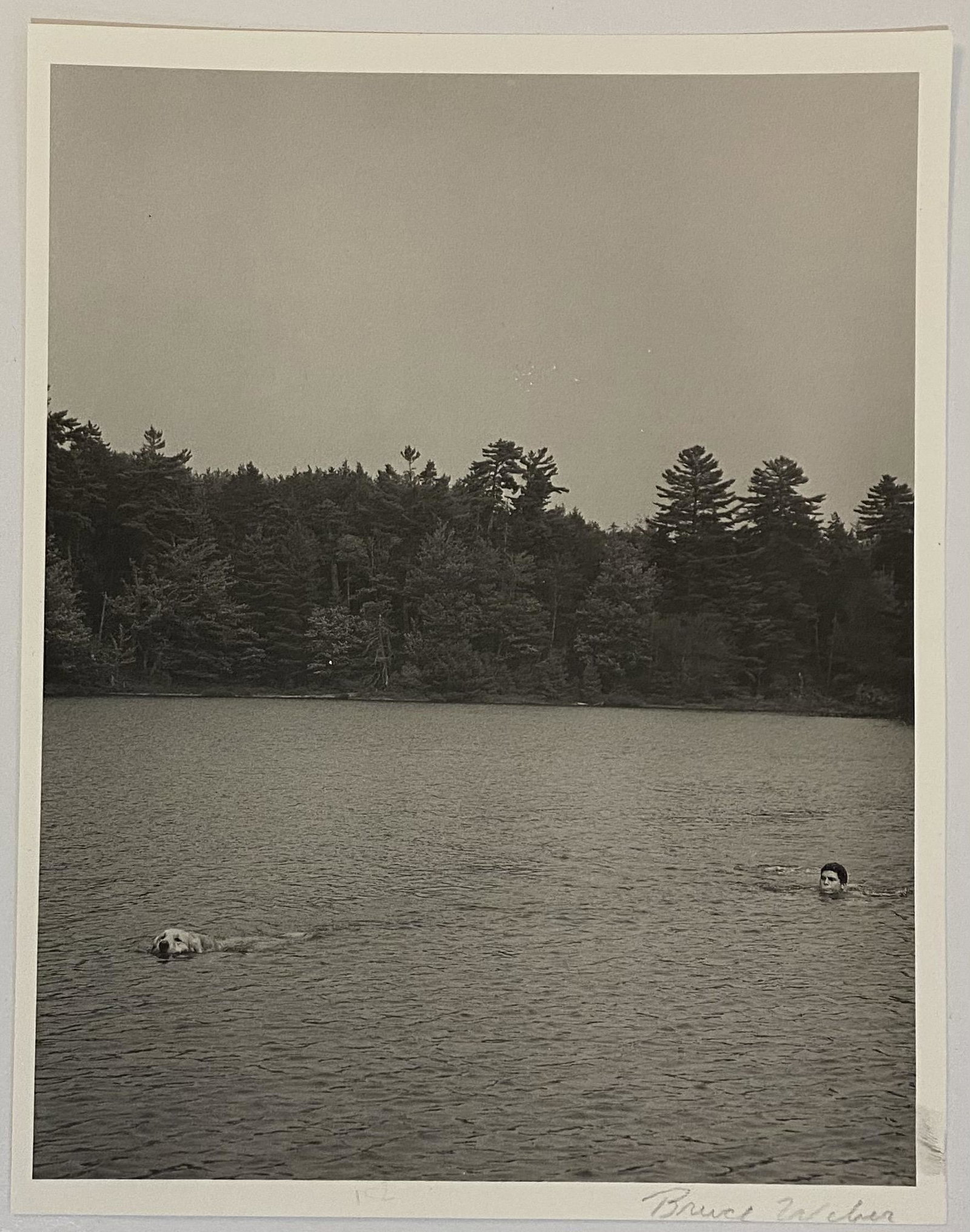 Bruce Weber (Bear Pond) Hand Signed Gravure Print: BRUCE WEBER (B. 1946) Bear Pond Sheet-Fed Gravure Printed circa 1990 10" x 8" Hand signed lower right side