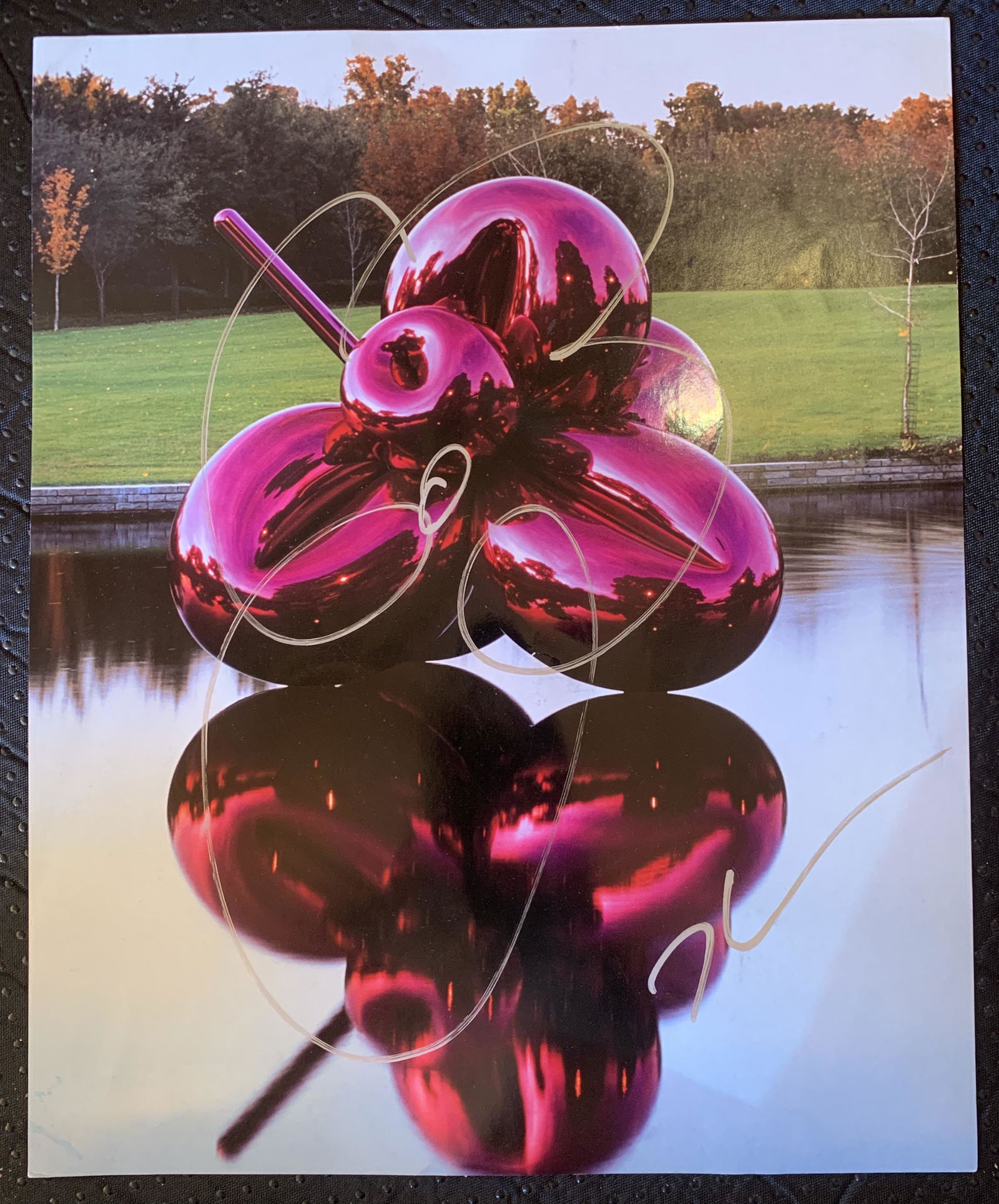 Jeff Koons Flower Drawing Signed: Jeff Koons Flower Drawing Signed Measures 11.5 x 9.25 inches