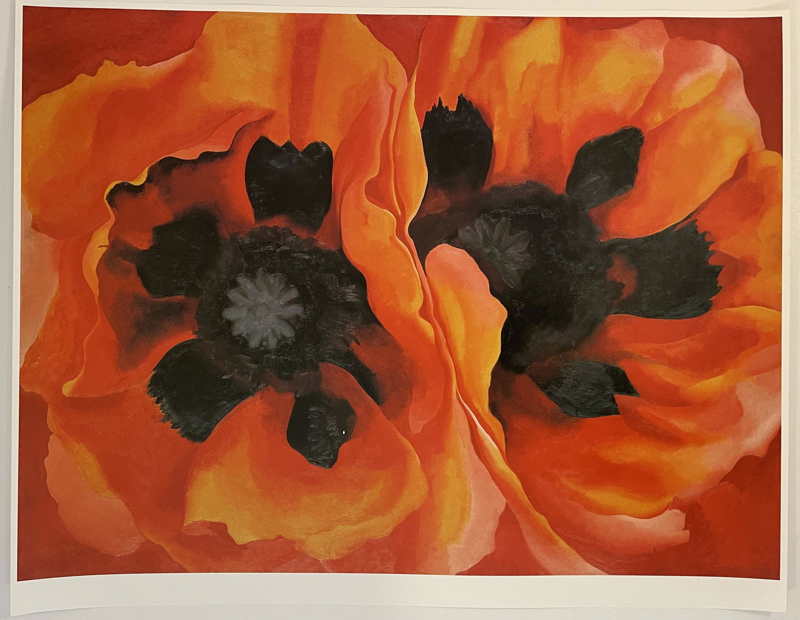 Georgia OKeefe Offset Lithograph (Flora) (1 of 2)