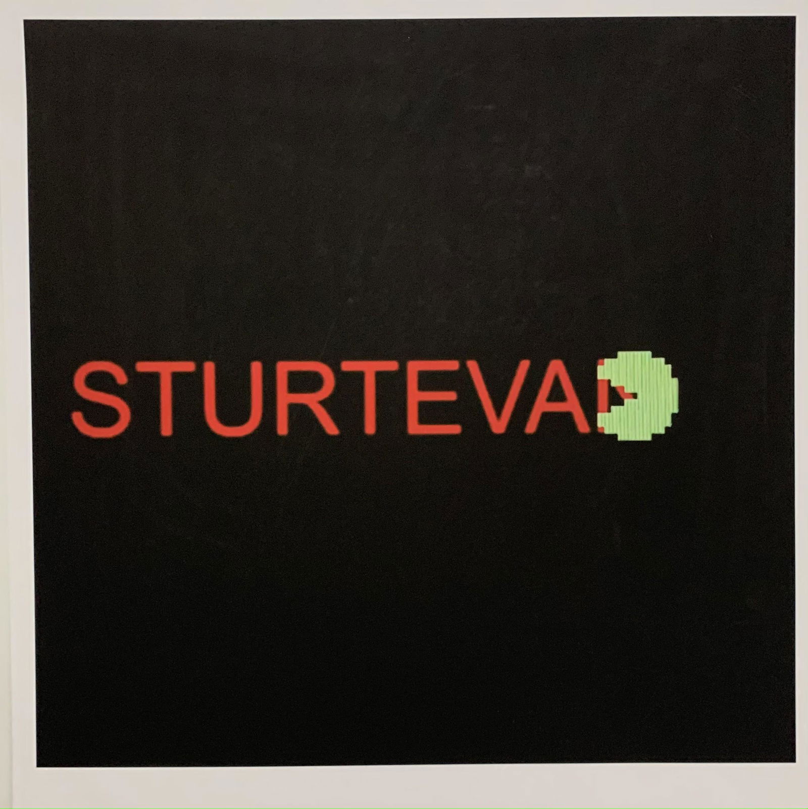 Elaine Sturtevant Print: Elaine Sturtevant Print 19 x 19 inches Mounted on same size cardstock