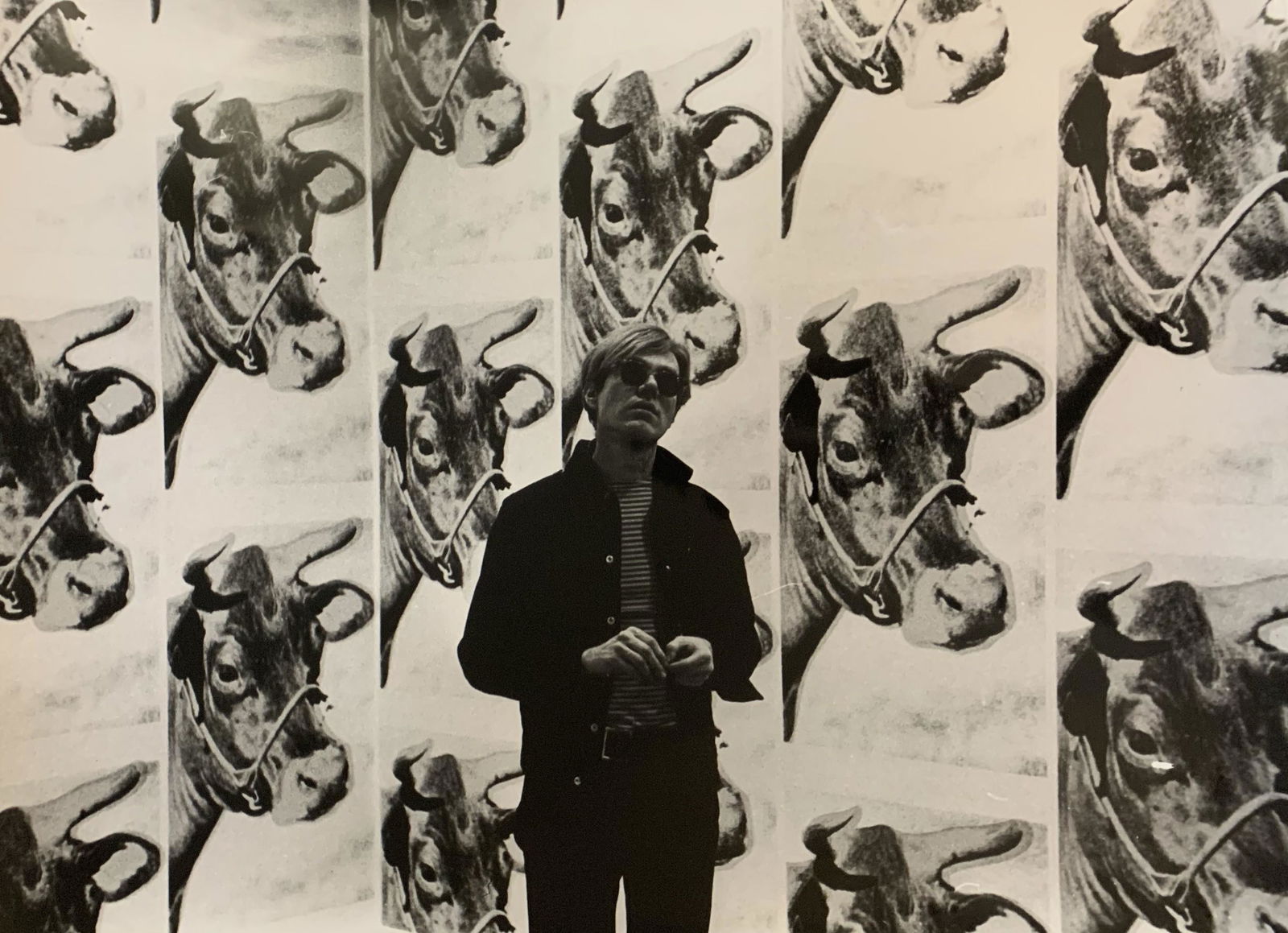 Andy Warhol (Cow) Glossy Photographic Print (1 of 1)