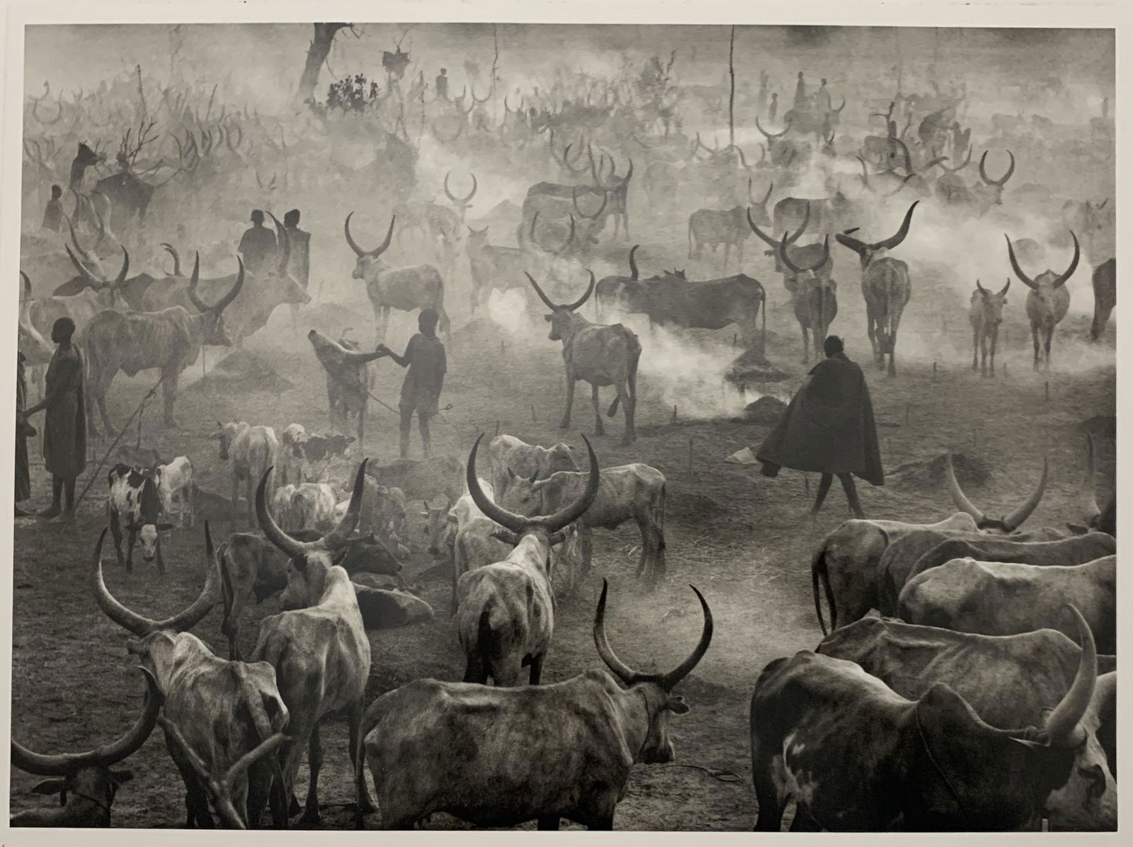 Sebastiao Salgado Dinka Cattle Camp Photographic Print (1 of 1)