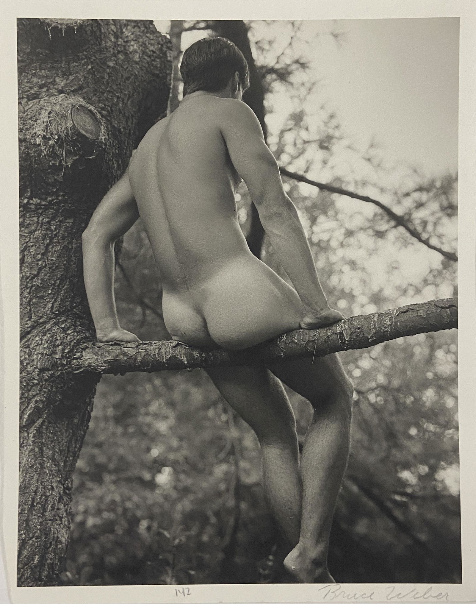 Bruce Weber (Bear Pond) Hand Signed Gravure Print (1 of 3)