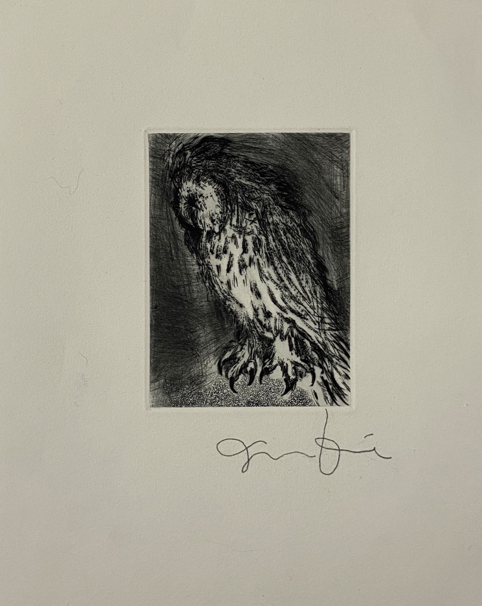 Jim Dine - Owl - Etching (1 of 3)