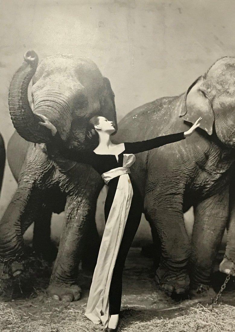 Richard Avedon - Dovima with Elephants (1 of 1)