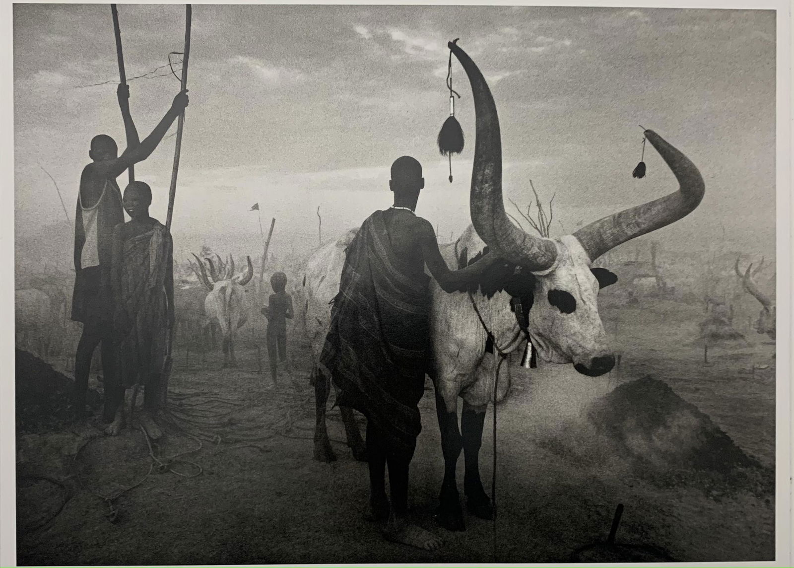 Sebastiao Salgado Dinka Cattle Camp Photographic Print (1 of 1)