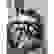 item-82474028=3