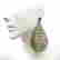 item-131604050=5