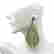item-131604050=6