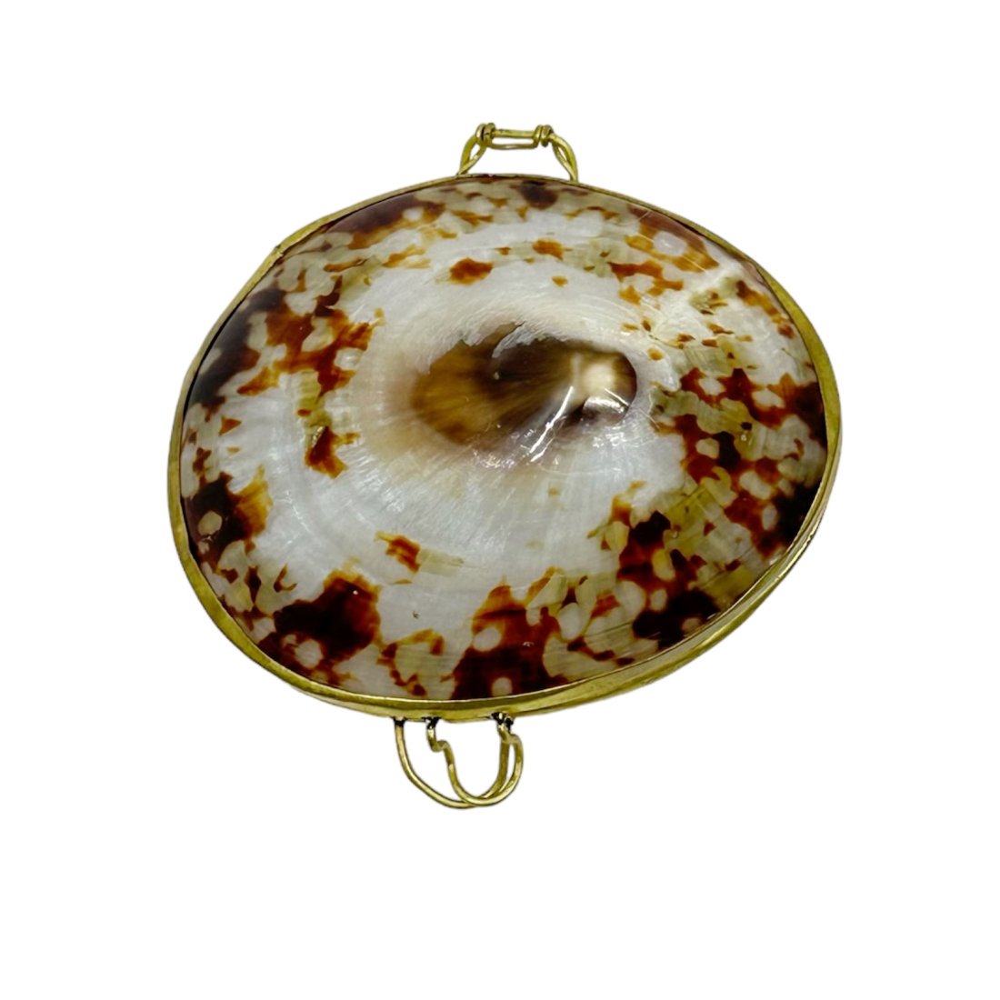 hand Crafted shell & brass trinket box (1 of 5)