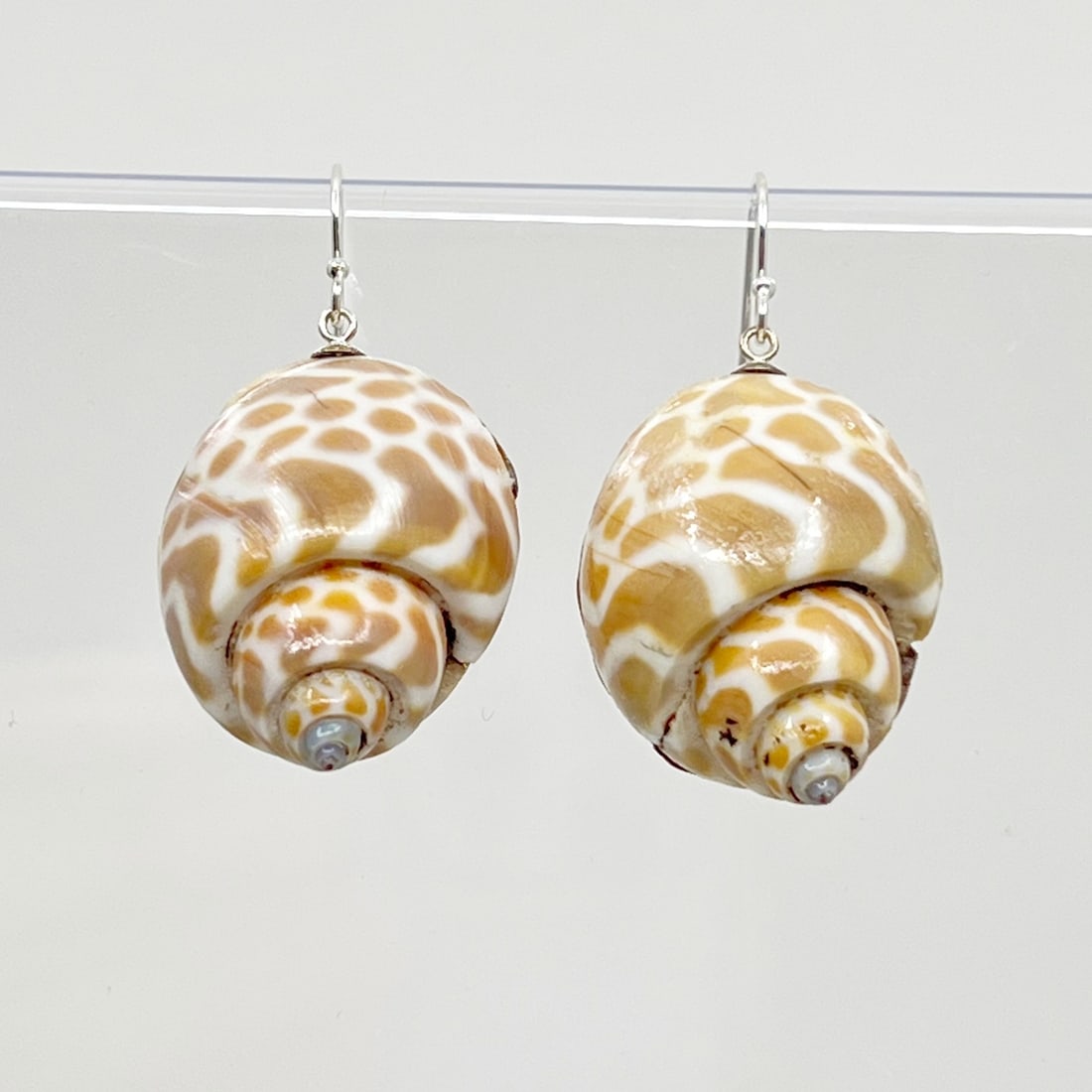 Sterling silver Babylonia spirata seashell earrings: Measurements: 1 5/8" Long by 7/8" Wide Gemstone: babylonian spirata seashell Material: sterling silver Condition: new SKU-919